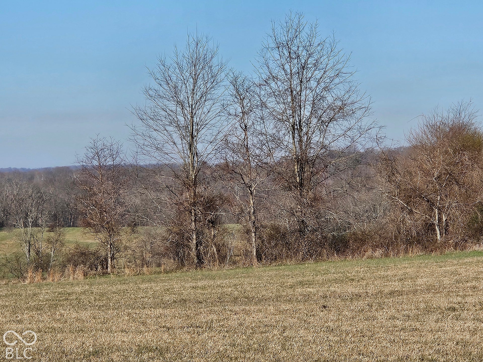 8798 S Strain Ridge Road, Bloomington, IN 47401