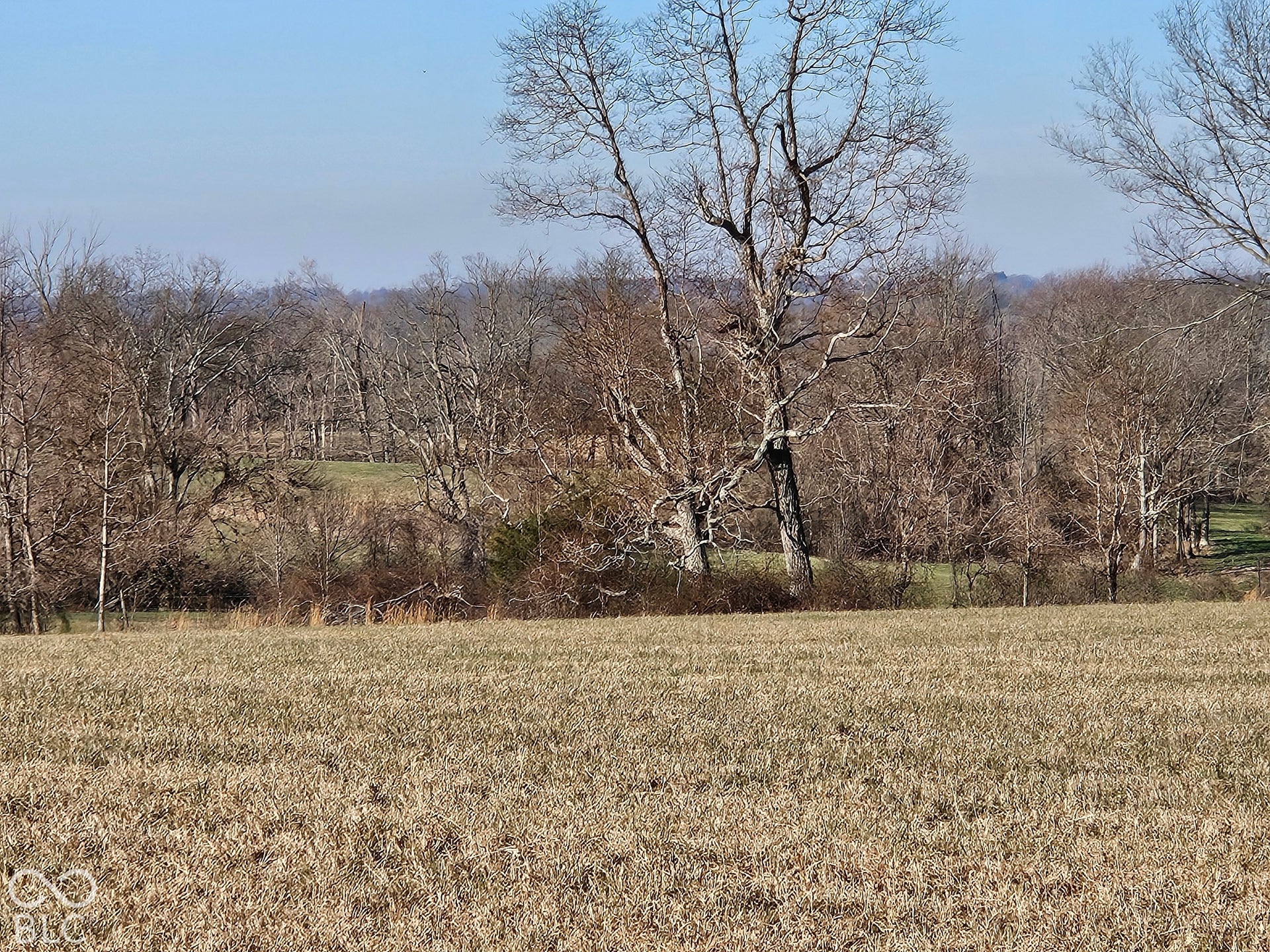 8798 S Strain Ridge Road, Bloomington, IN 47401