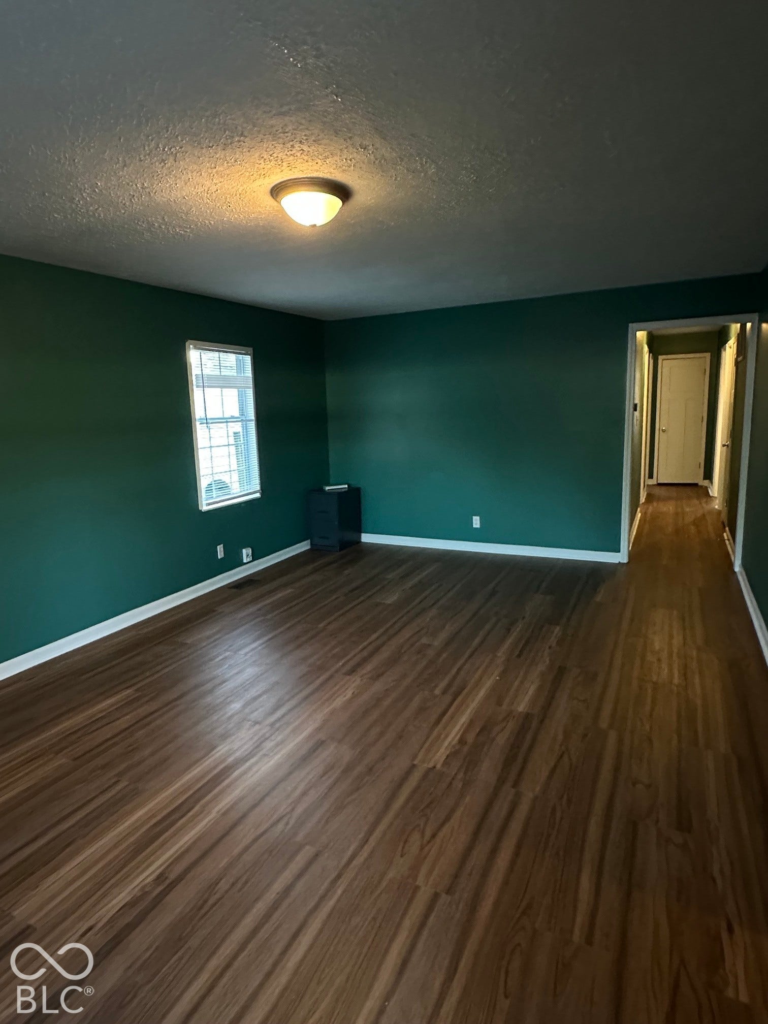 1025 S Roena, Indianapolis, IN 46241