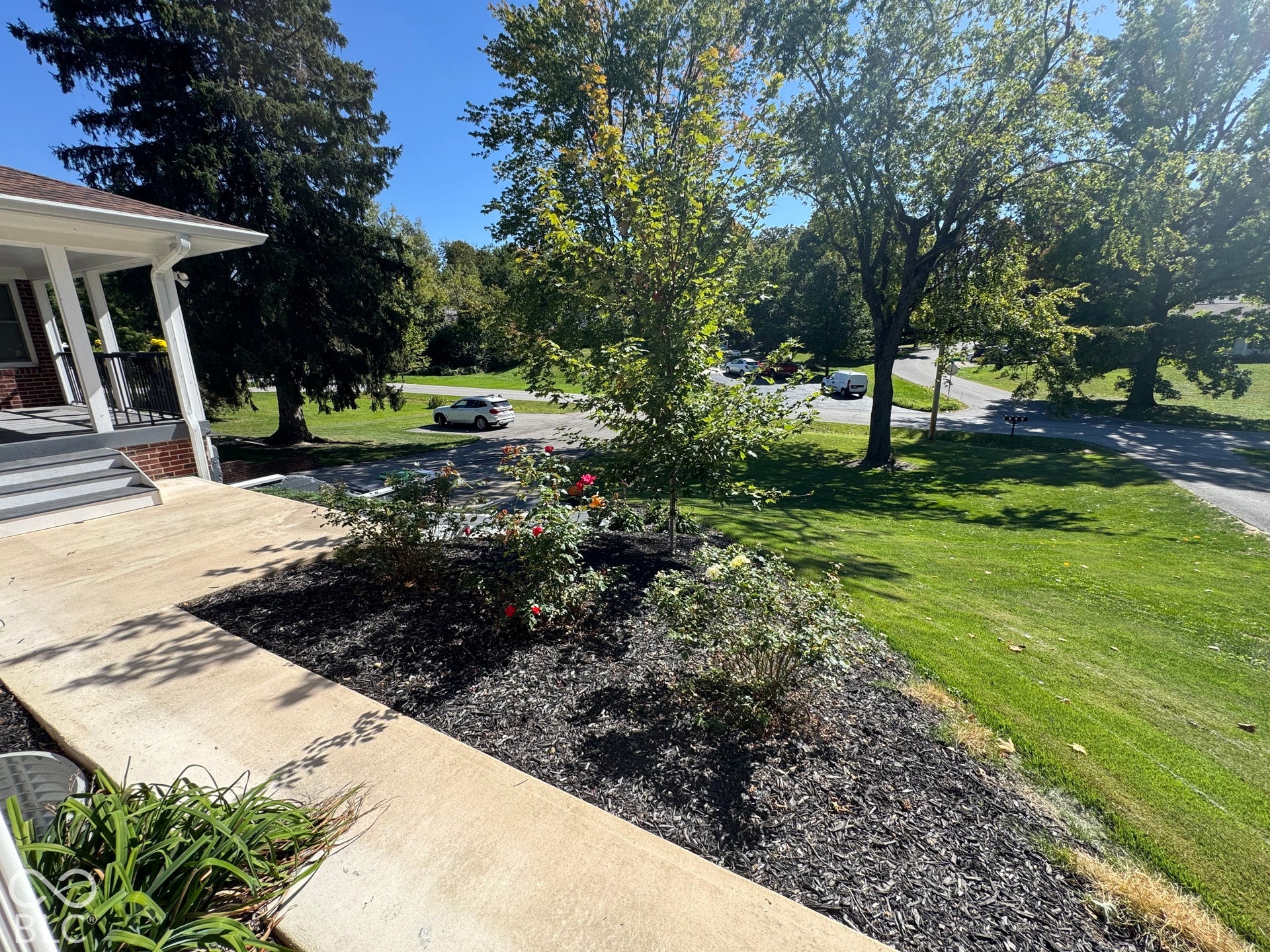 Front porch with white columns, concrete walkway, mulched planting beds, and mature trees