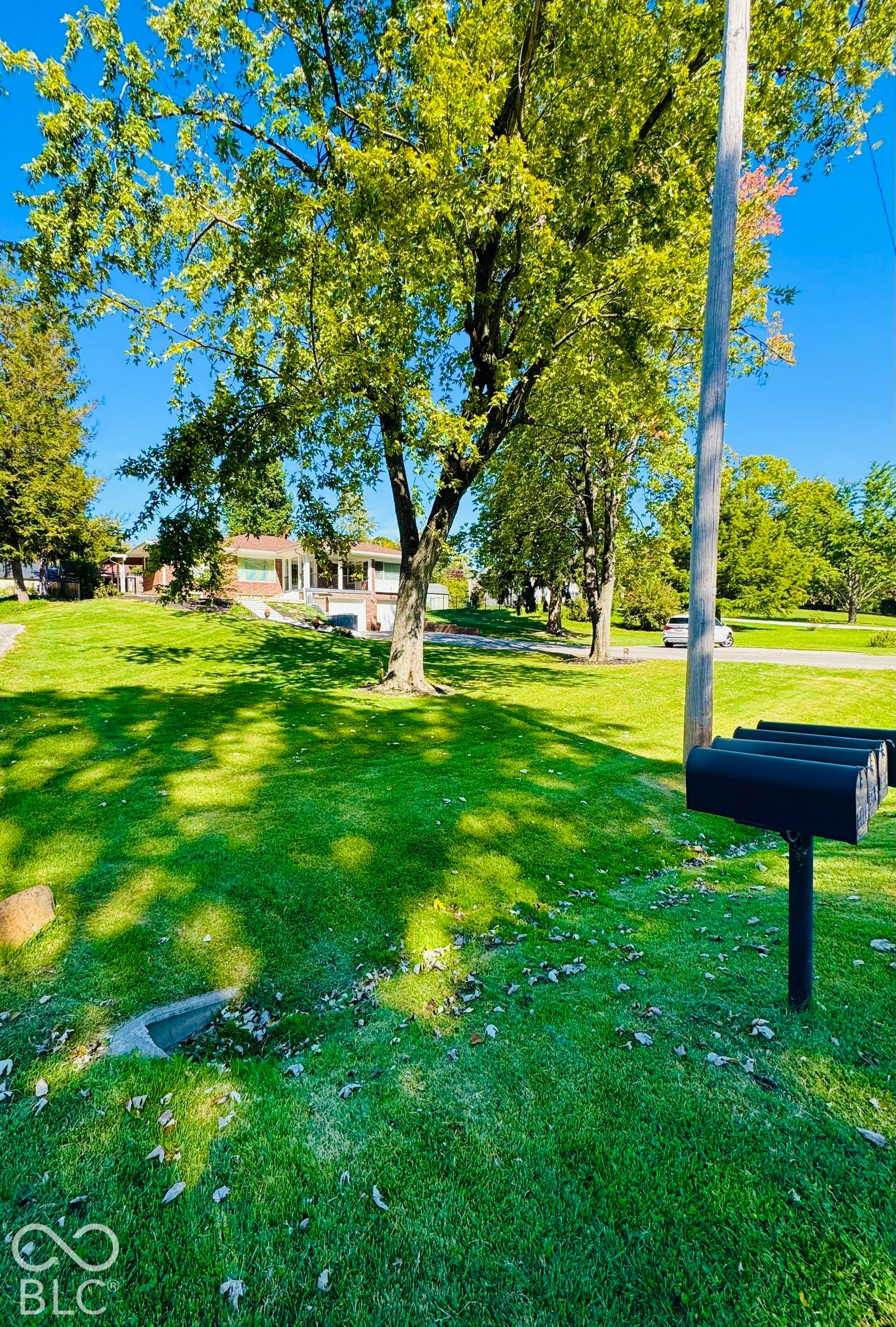 Expansive lawn with mature trees, offering a clear blue sky background