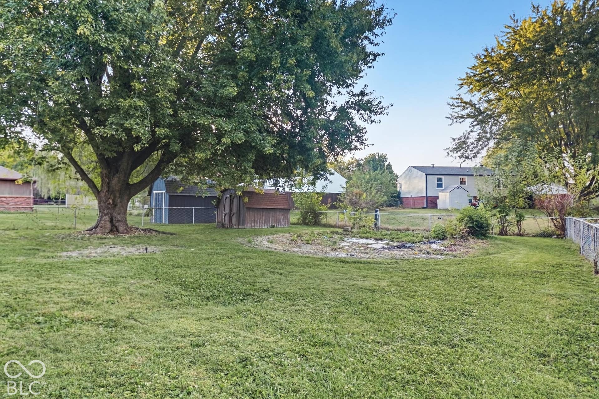 Expansive grassy yard featuring a prominent mature tree, a privacy fence, and a storage shed