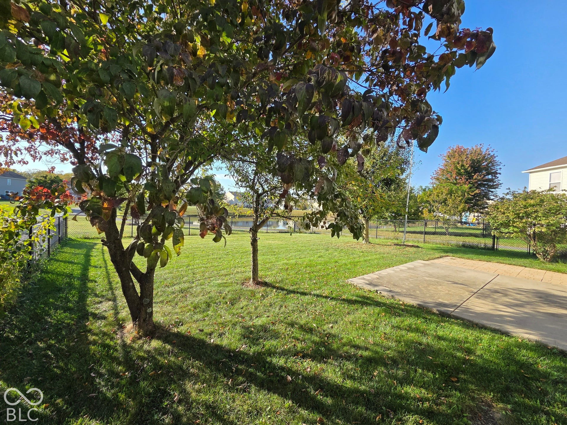 Yard