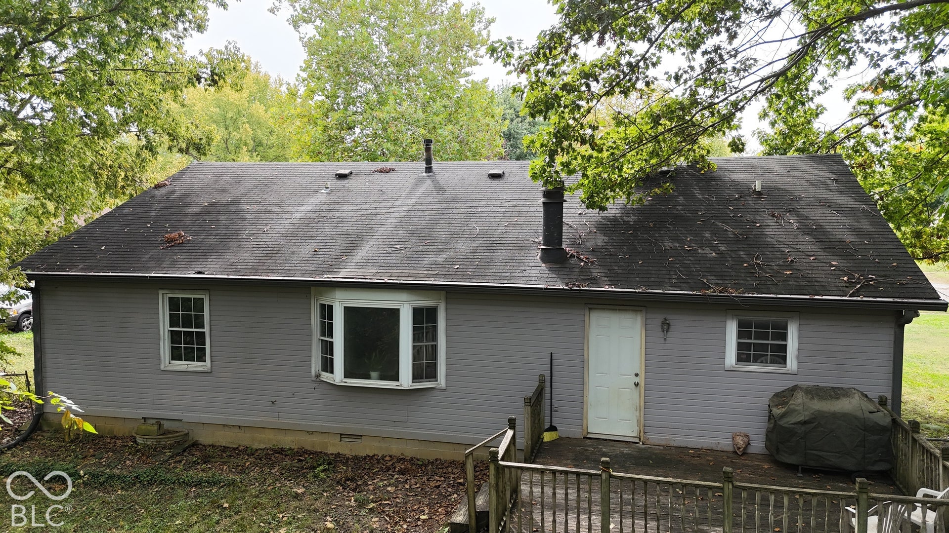 Back Of Structure