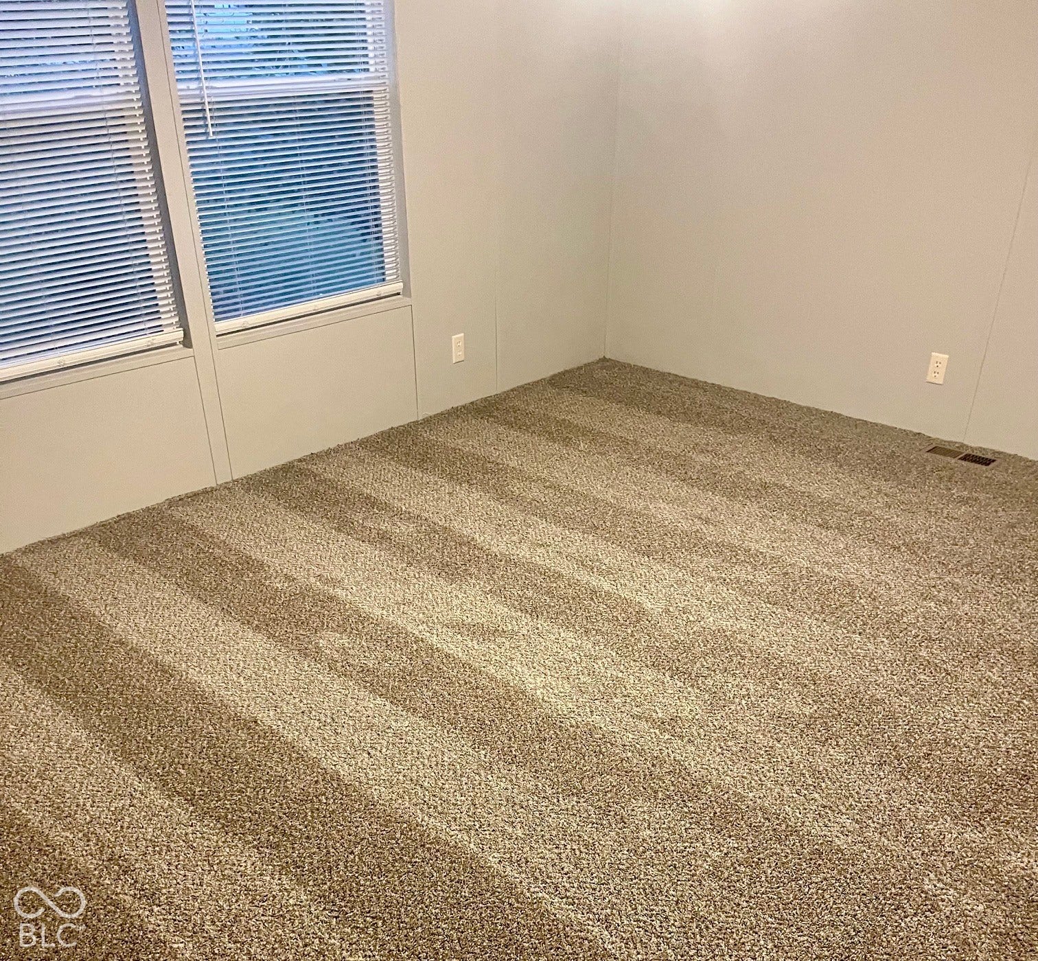 Plush carpet flooring, light gray wall finishes, and two windows with blinds