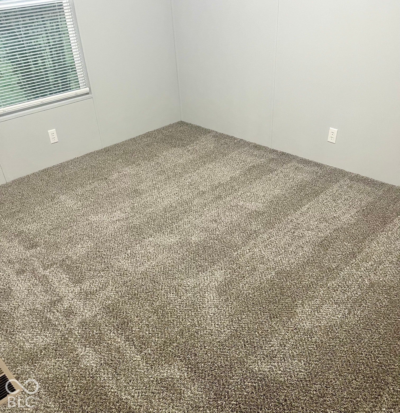 Plush carpeting, light gray wall panels, and a window with horizontal blinds