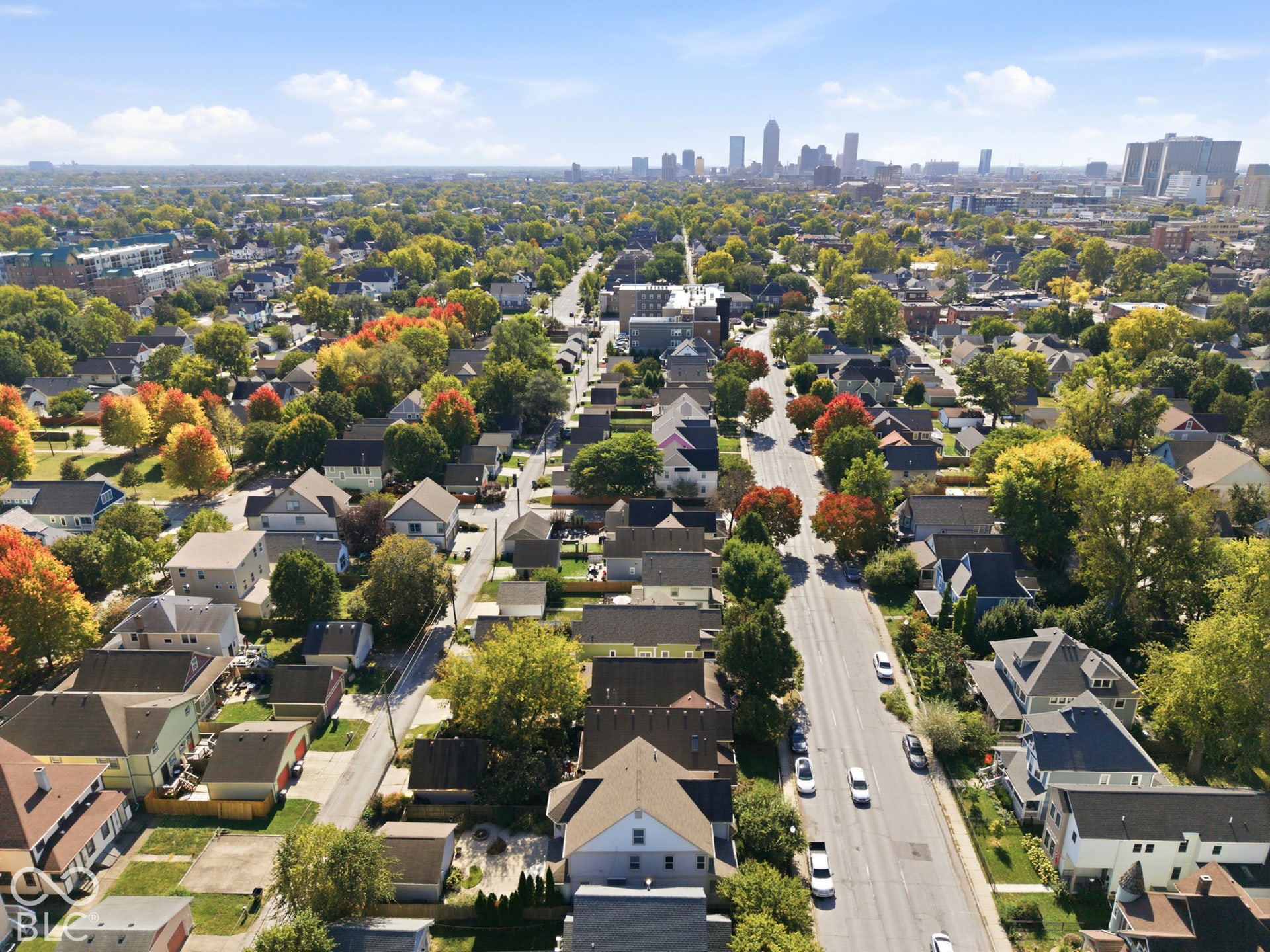 Aerial view of a residential area with mature trees and a distant city skyline