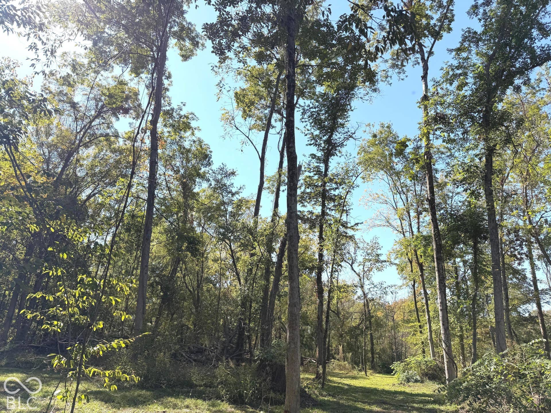3844 S State Road 3, Rushville, IN 46173