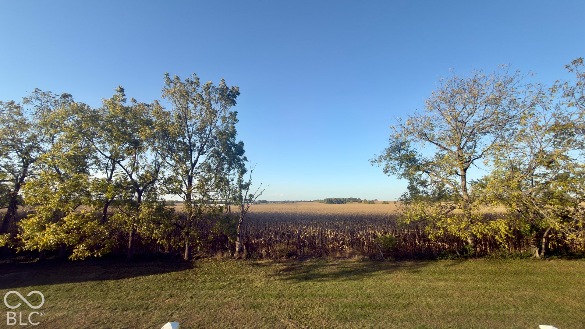 4034 W State Road 135 W, Trafalgar, IN 46181 Expansive green lawn with mature trees and agricultural fields beyond