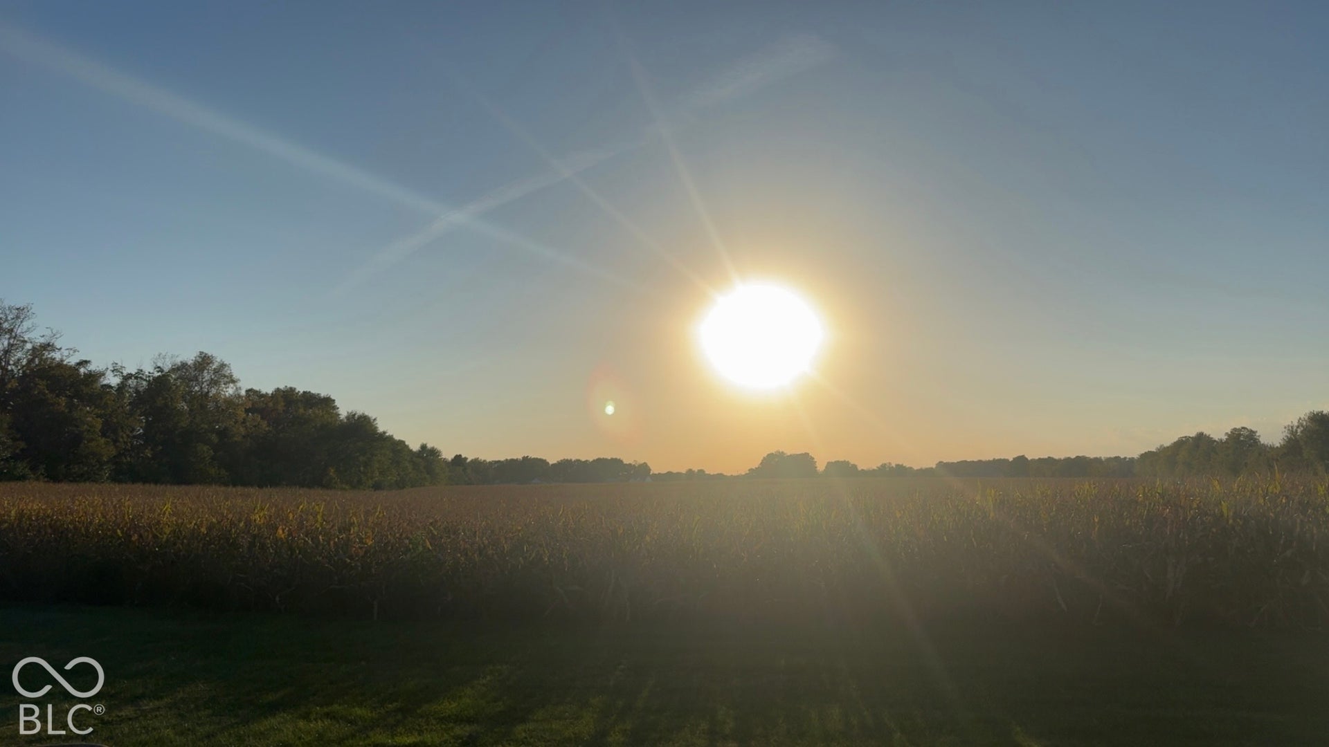 4034 W State Road 135 W, Trafalgar, IN 46181 Expansive open field bordered by a distant treeline