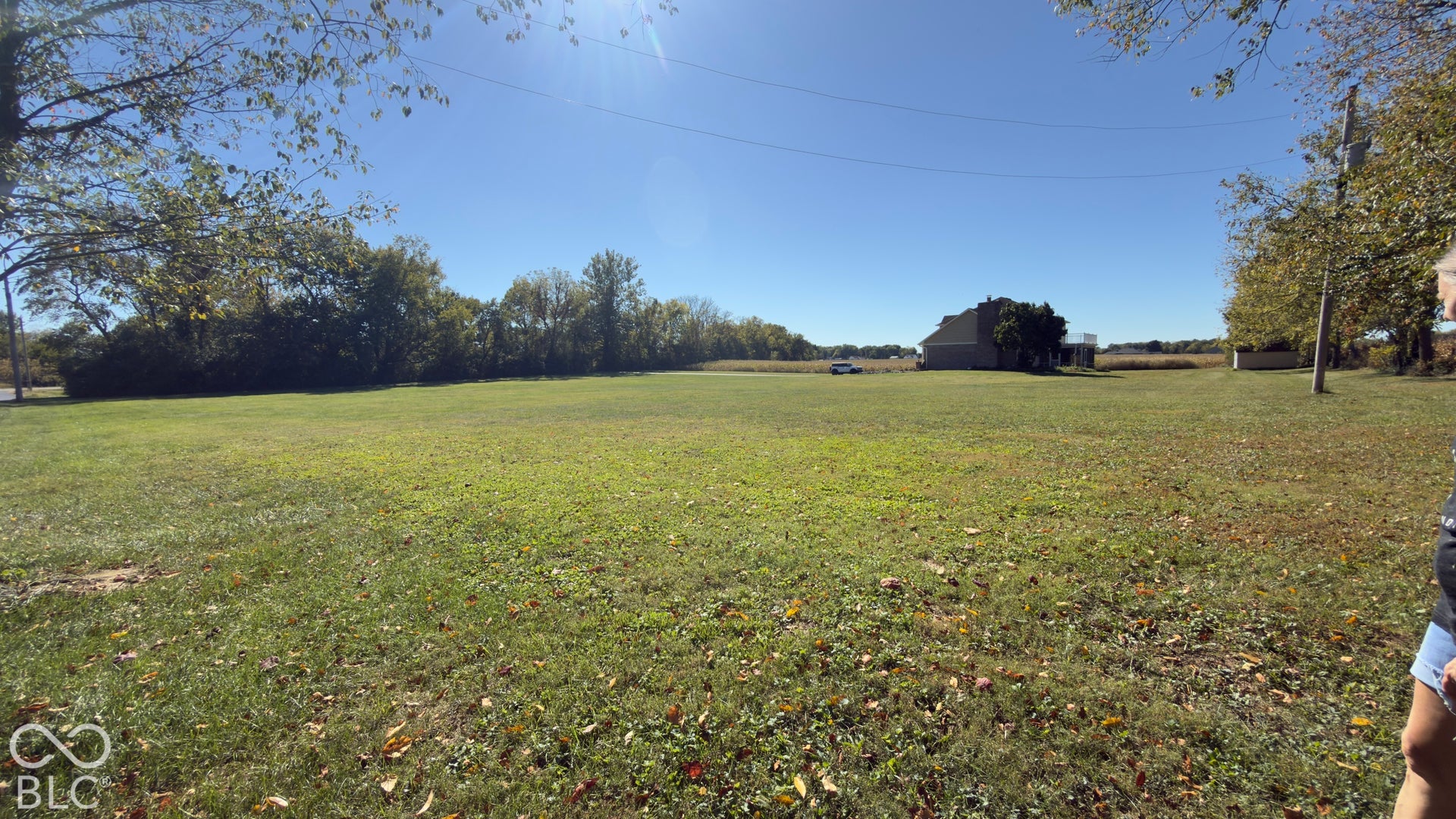 4034 W State Road 135 W, Trafalgar, IN 46181 Expansive grassy terrain with mature trees bordering the perimeter