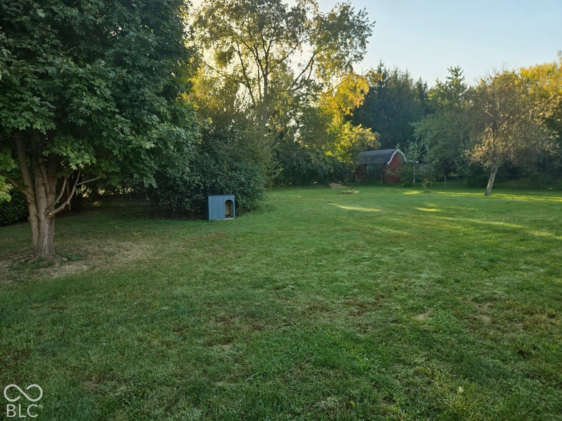 6720 S County Road 800 W, Daleville, IN 47334 Expansive green lawn with mature trees and a rustic red shed