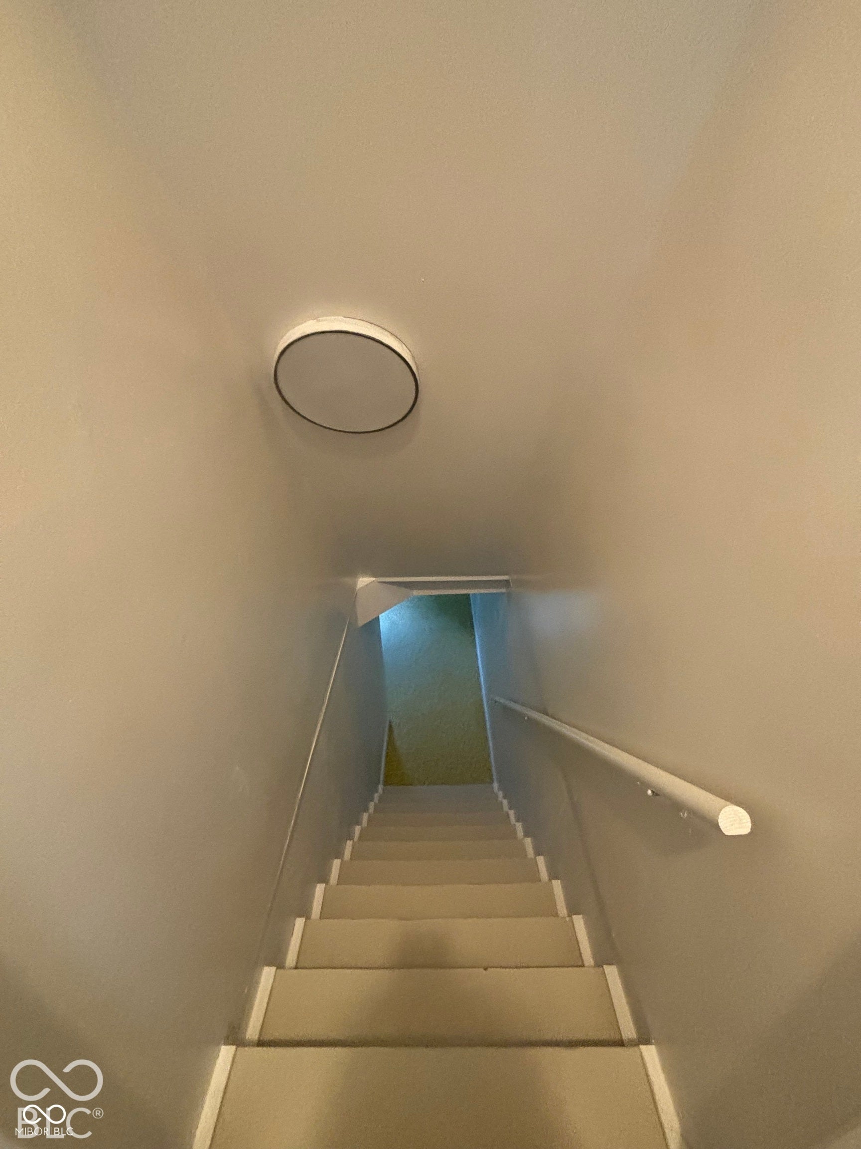 1345 Carroll White Drive, Indianapolis, IN 46219 Staircase with carpeted treads and a white handrail