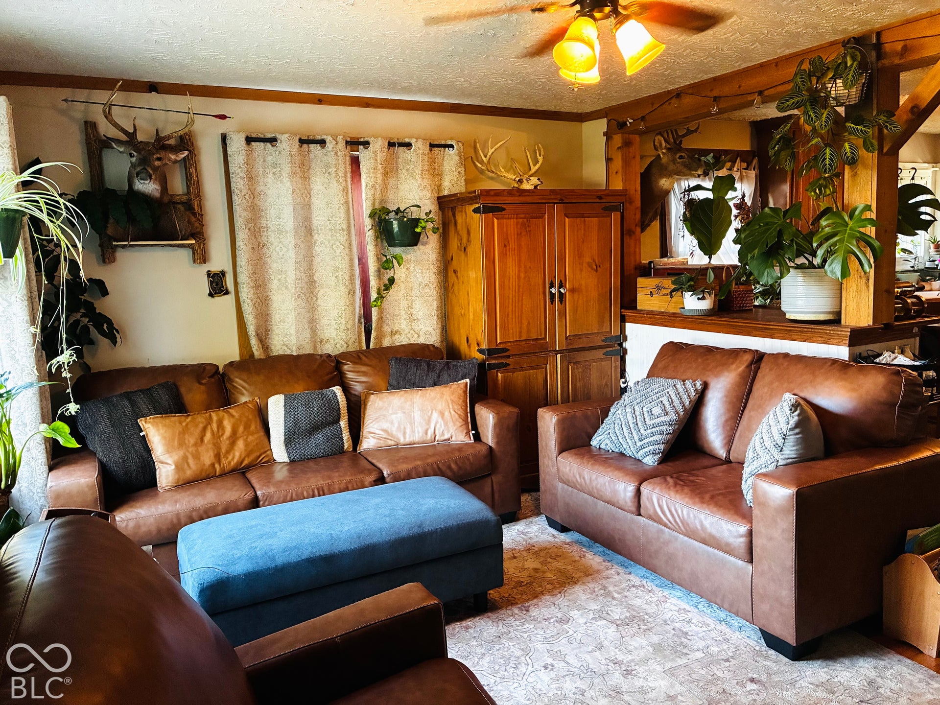 6553 W Boggstown Road, Boggstown, IN 46110