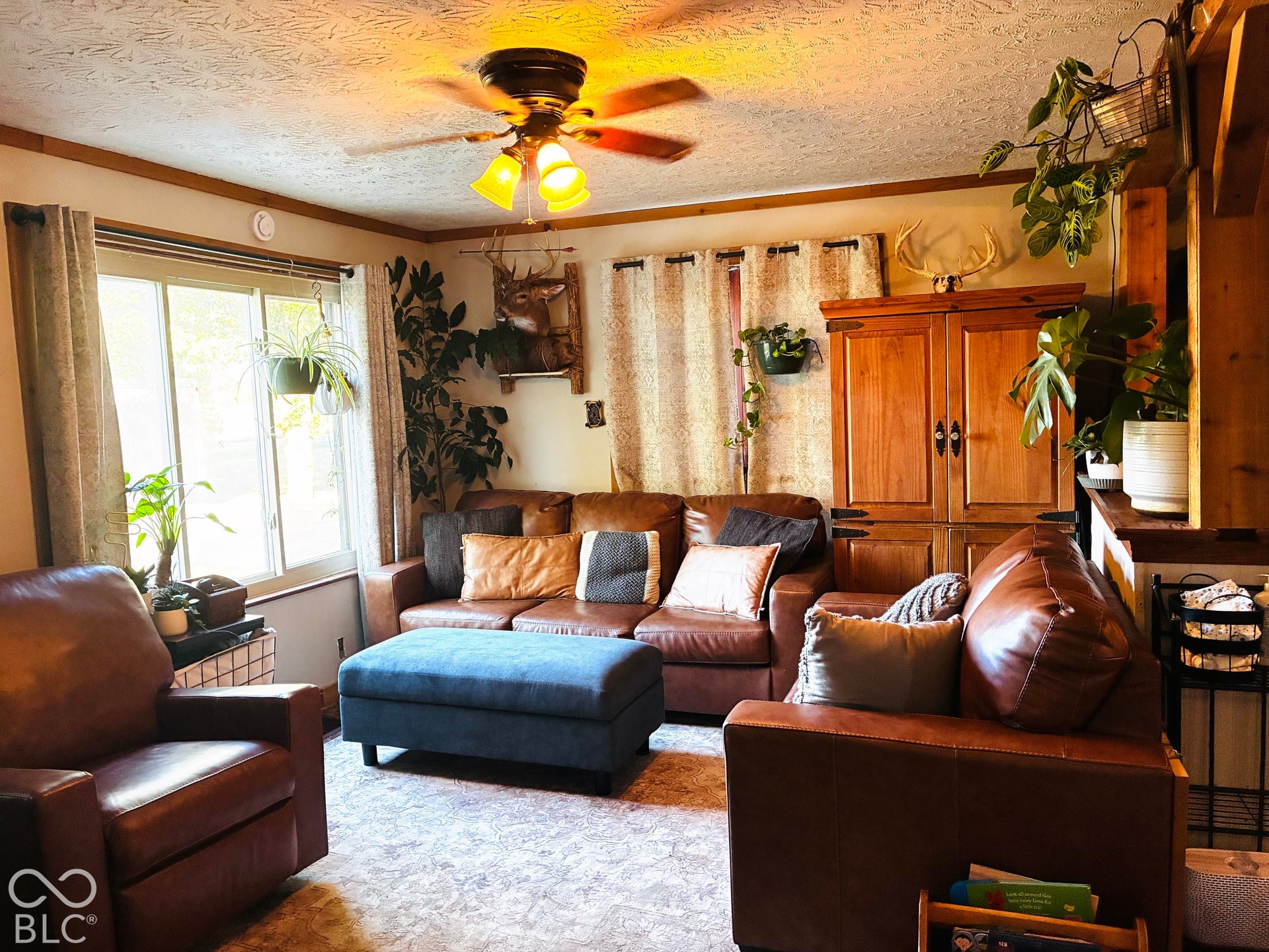 6553 W Boggstown Road, Boggstown, IN 46110