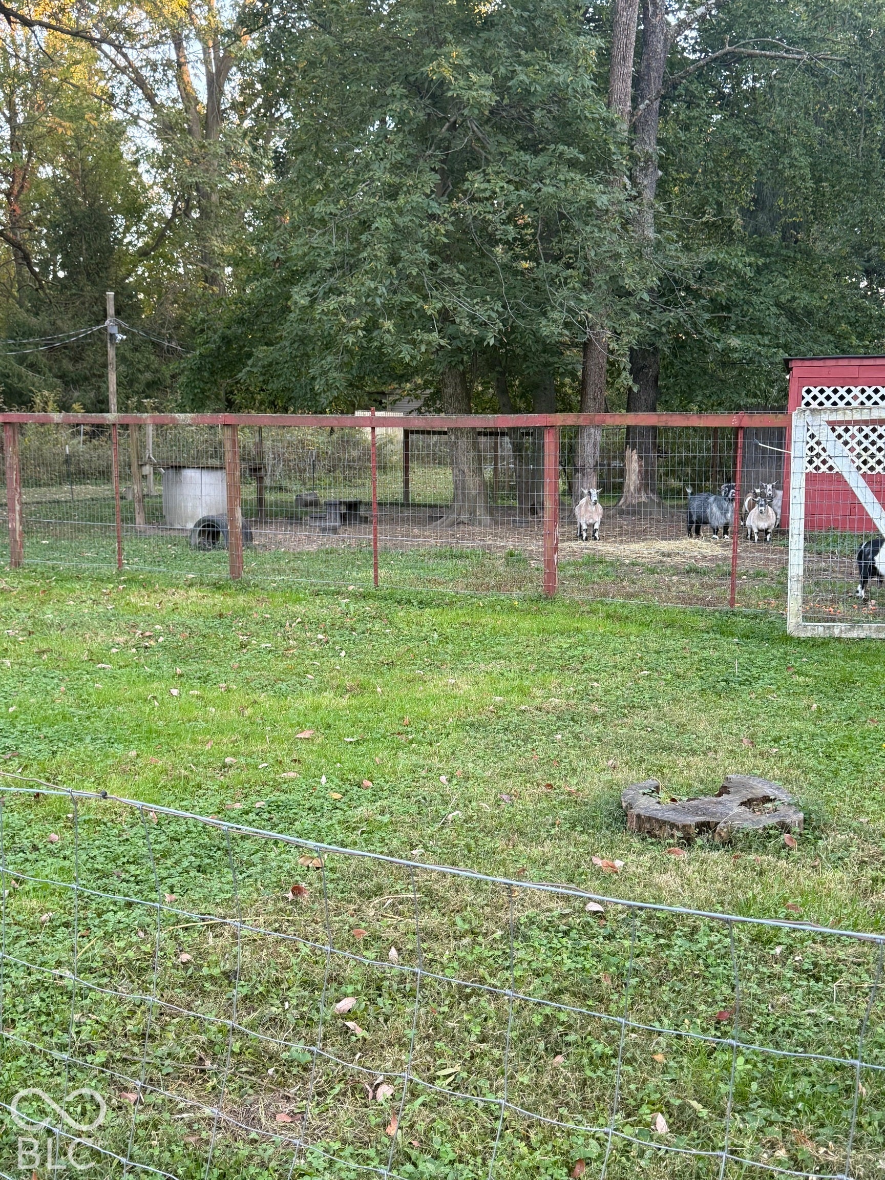 629 W 200 N, Greenfield, IN 46140