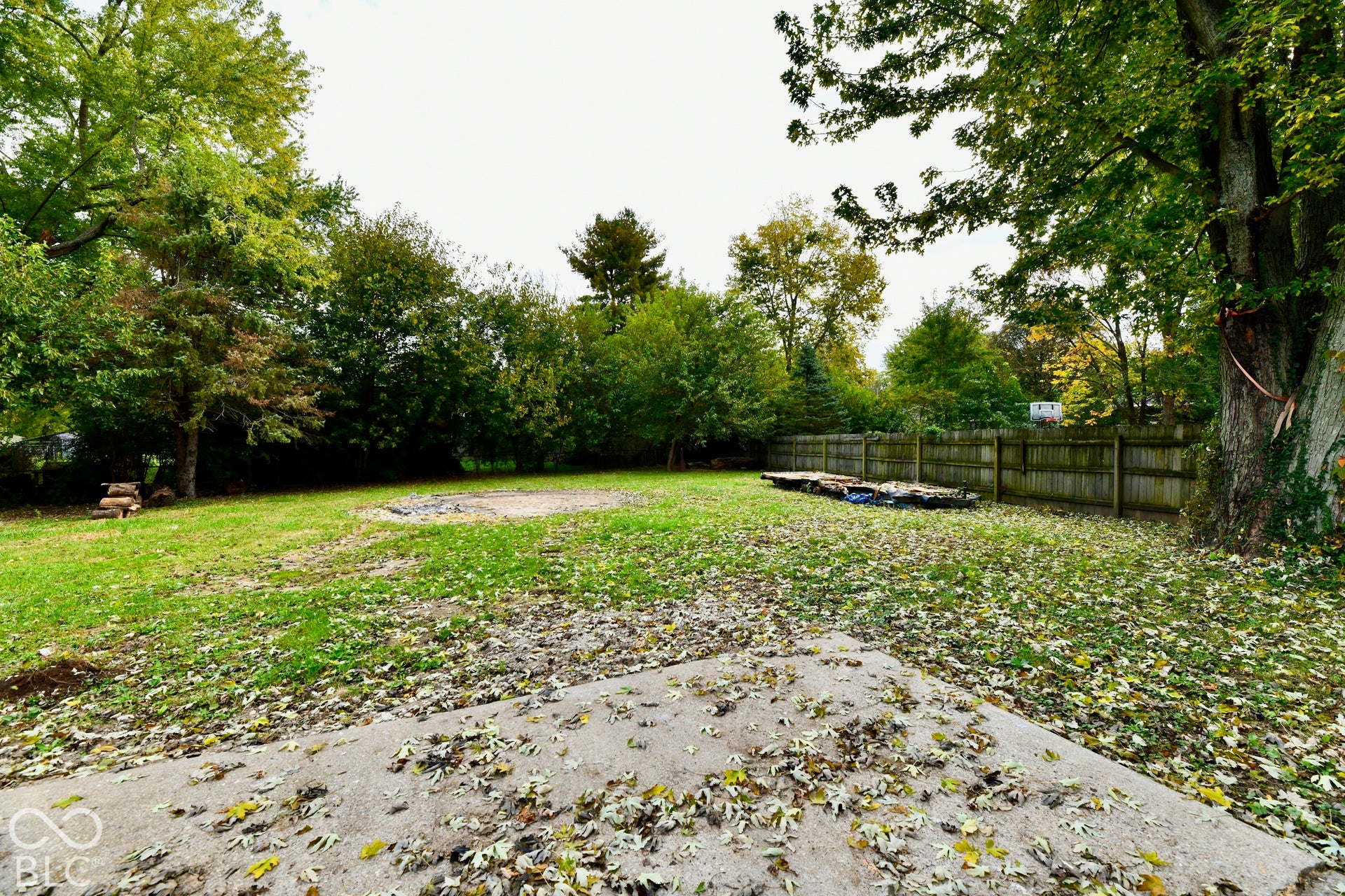 Expansive backyard featuring a concrete patio, wood-style privacy fencing, and mature trees