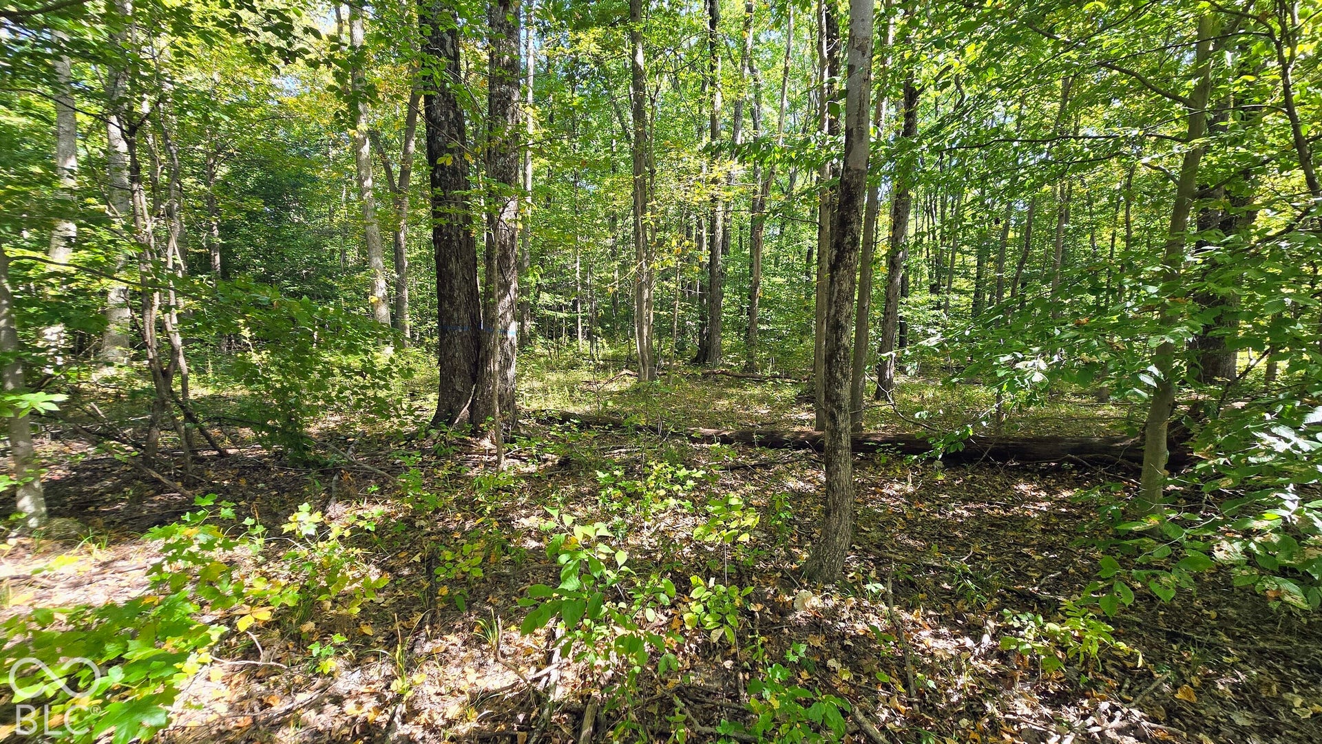 3255 Lemon Road, Madison, IN 47250