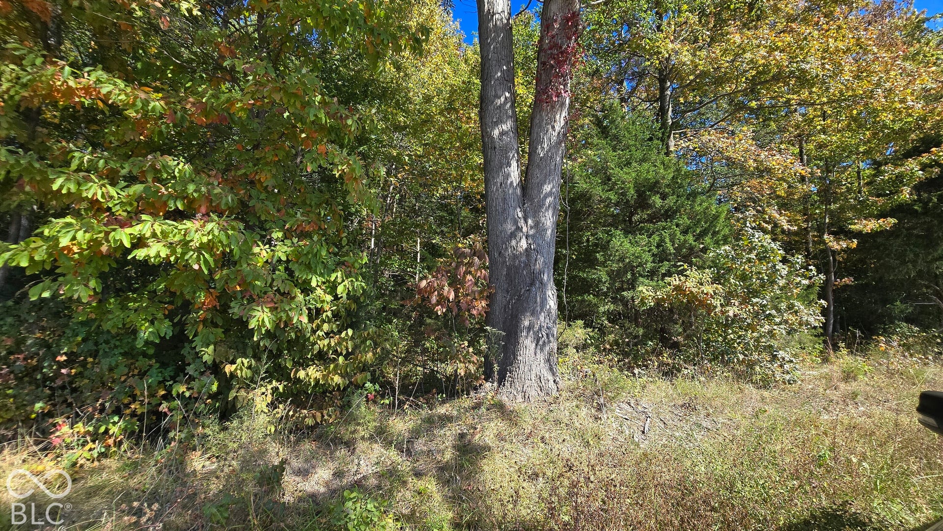 3255 Lemon Road, Madison, IN 47250
