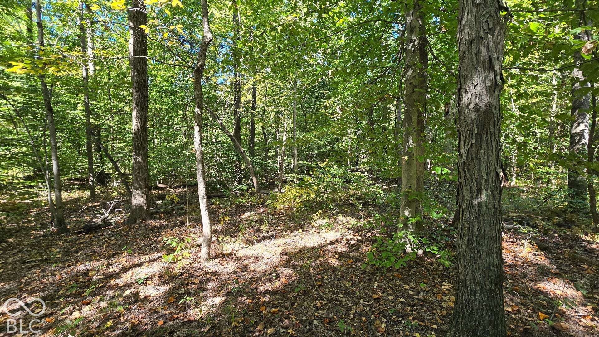3255 Lemon Road, Madison, IN 47250