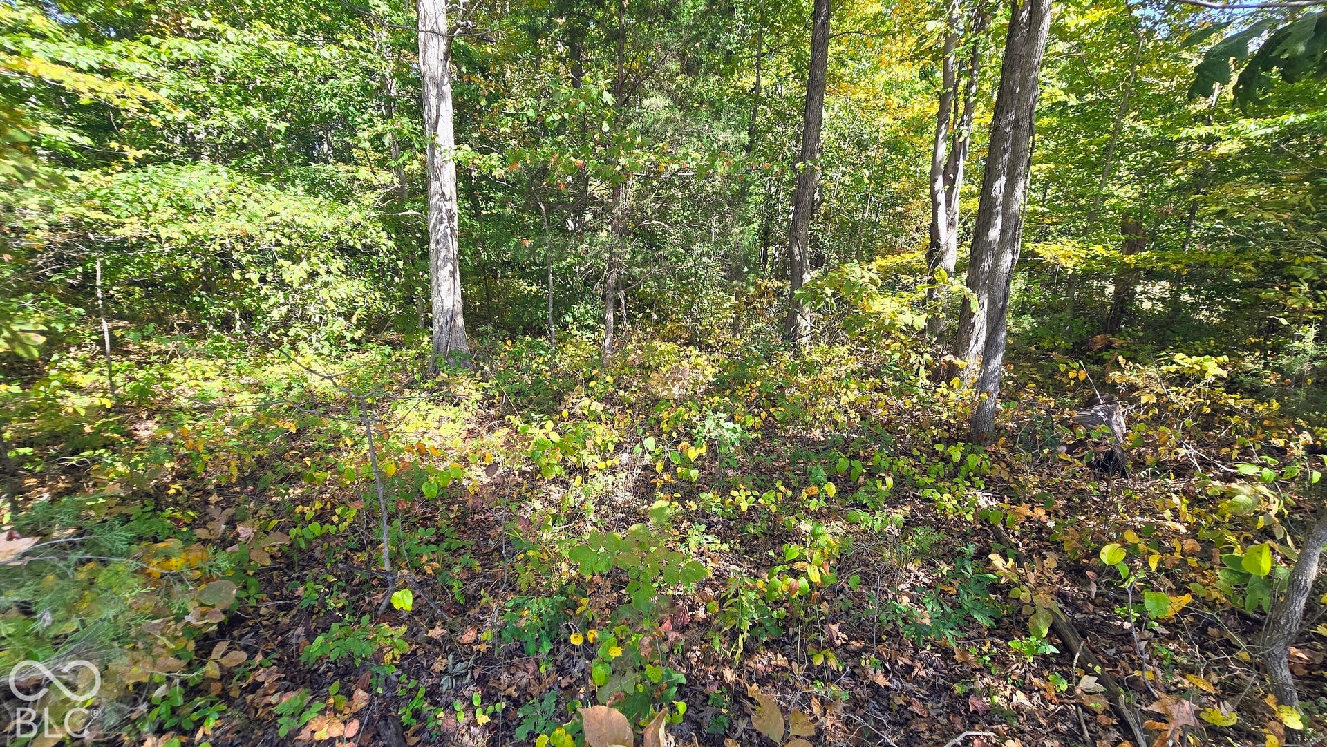 3255 Lemon Road, Madison, IN 47250