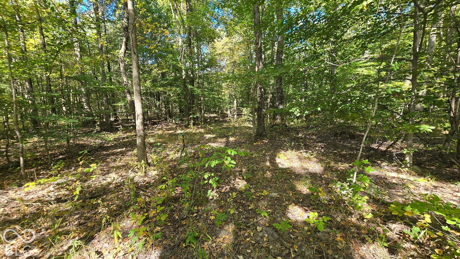 3255 Lemon Road, Madison, IN 47250