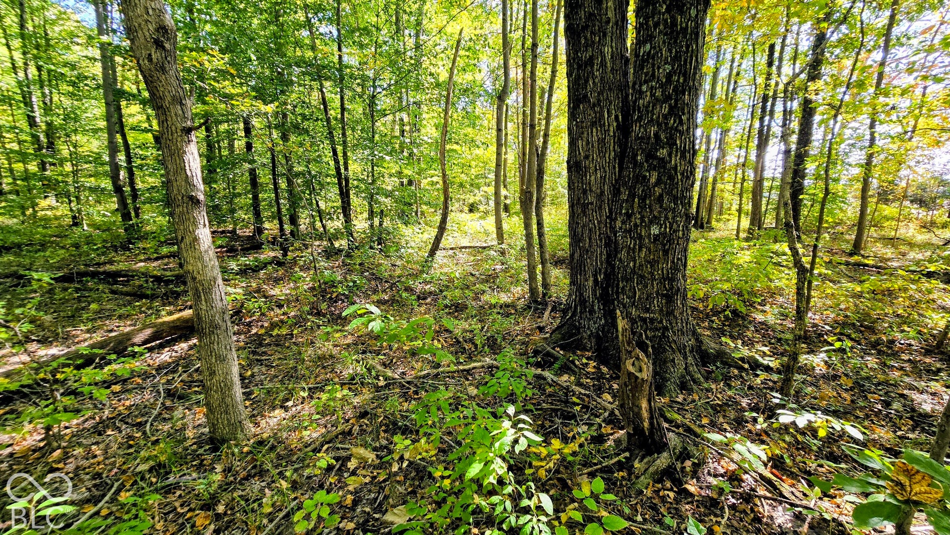3255 Lemon Road, Madison, IN 47250