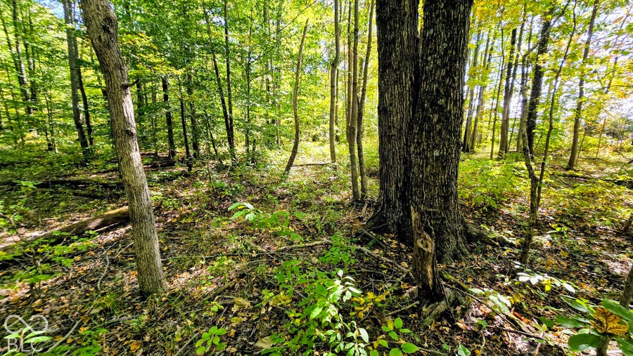 Property photo for 3255 Lemon Road, Madison, IN