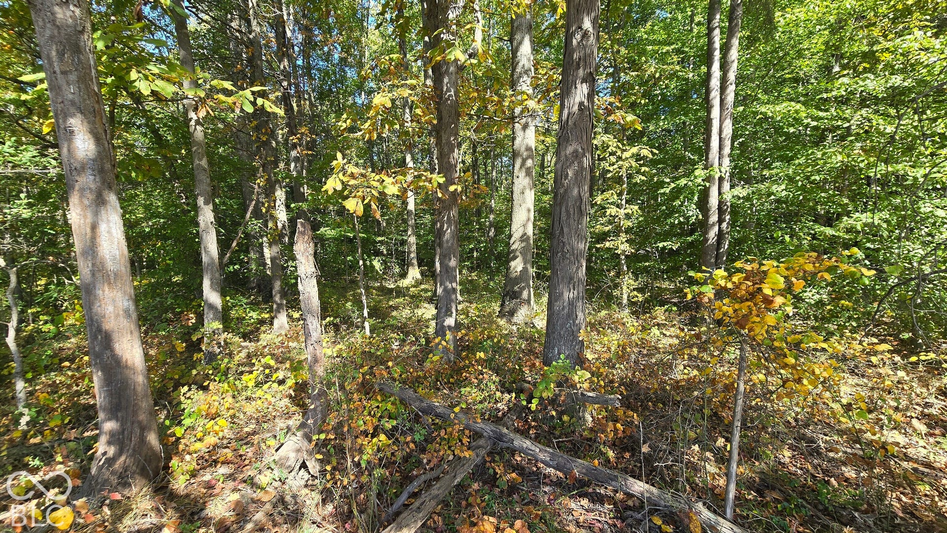 3255 Lemon Road, Madison, IN 47250