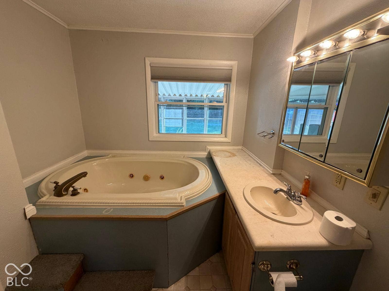 2819 E Edgewood Avenue, Indianapolis, IN 46227 Corner jetted tub with built-in steps, single vanity with integrated sink, and mirrored medicine cabinet