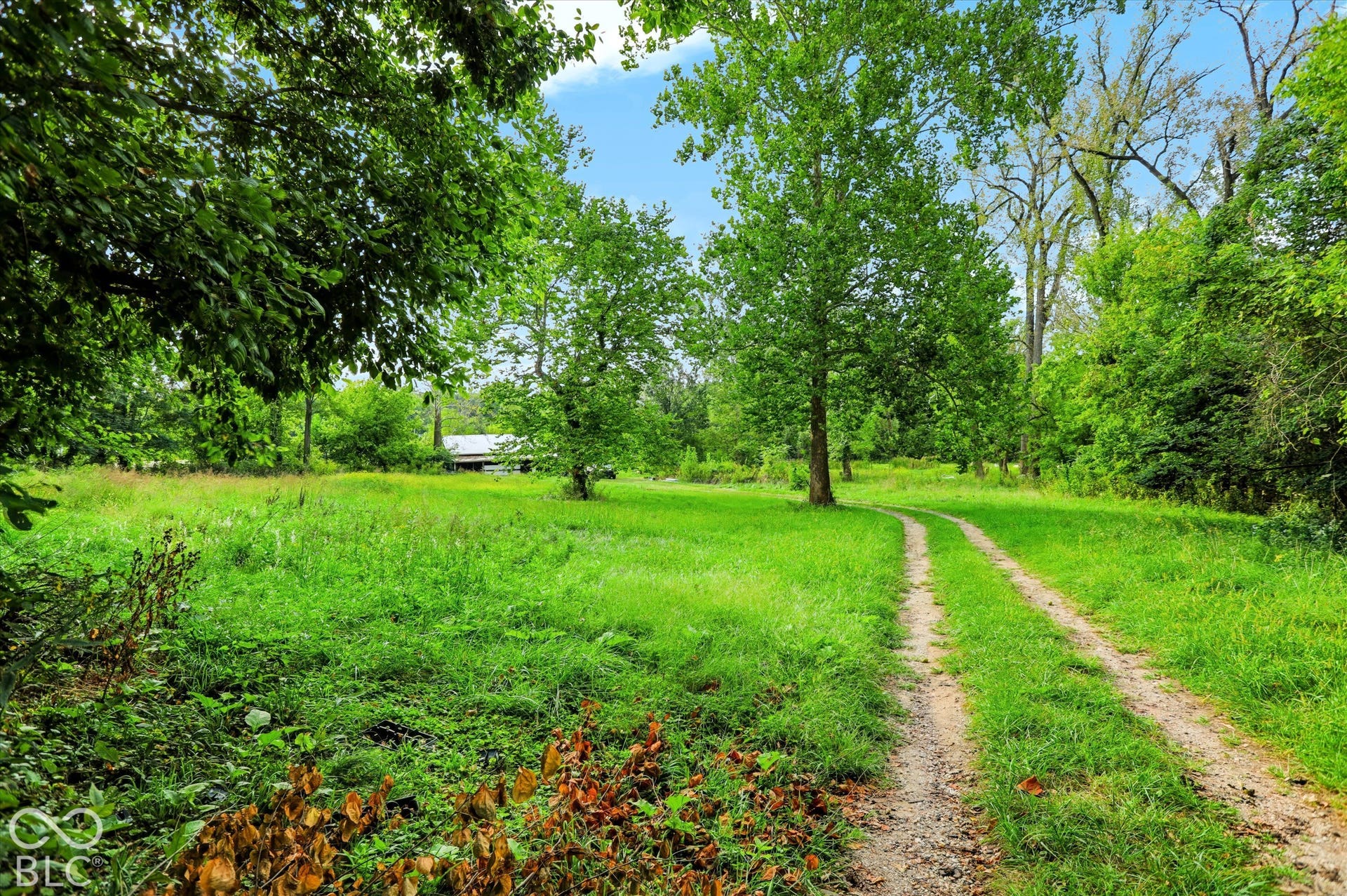 Expansive green space featuring a natural tree line, a dirt path, and a distant structure