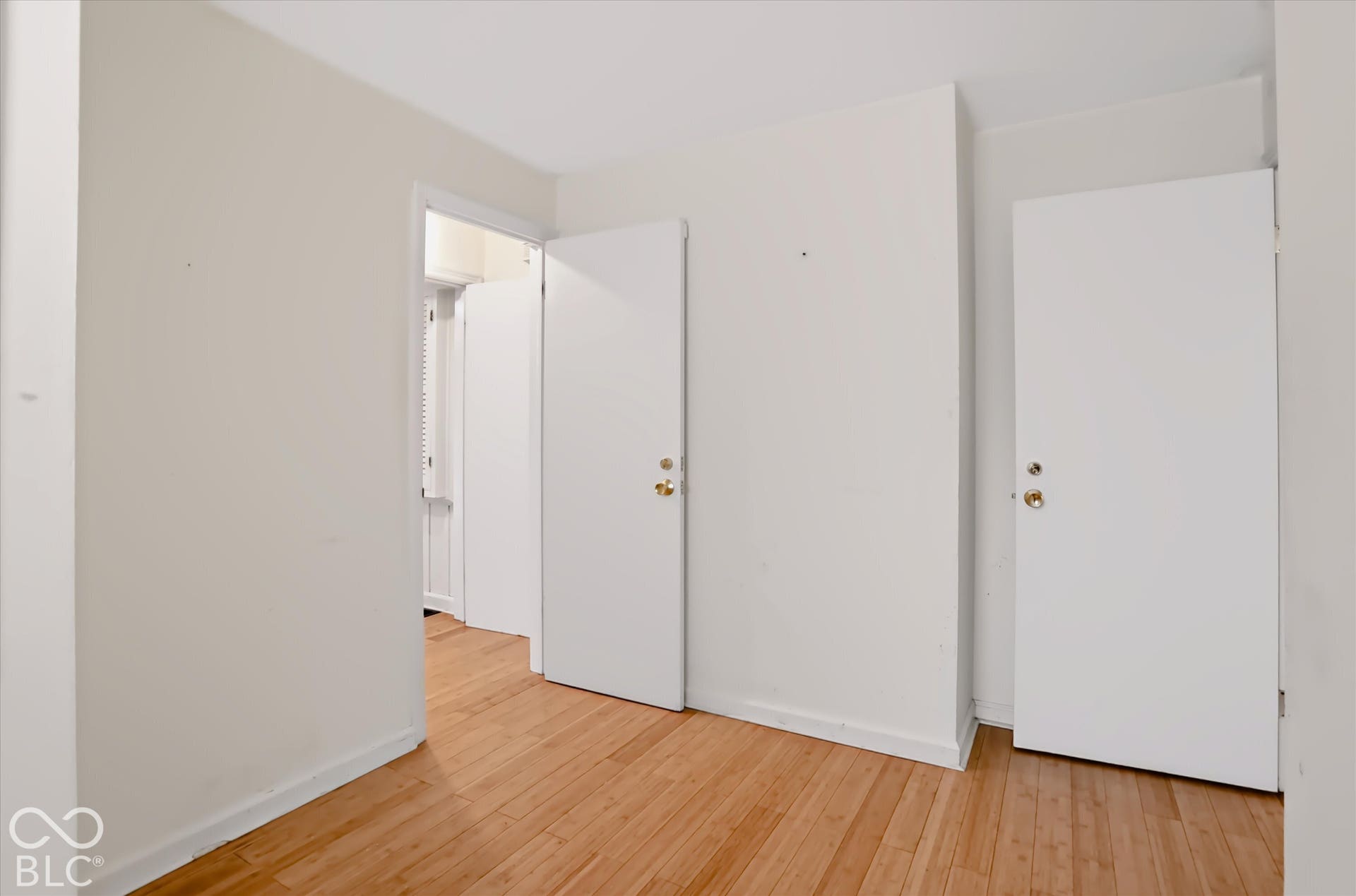Hardwood flooring, white painted walls, and multiple solid panel doors