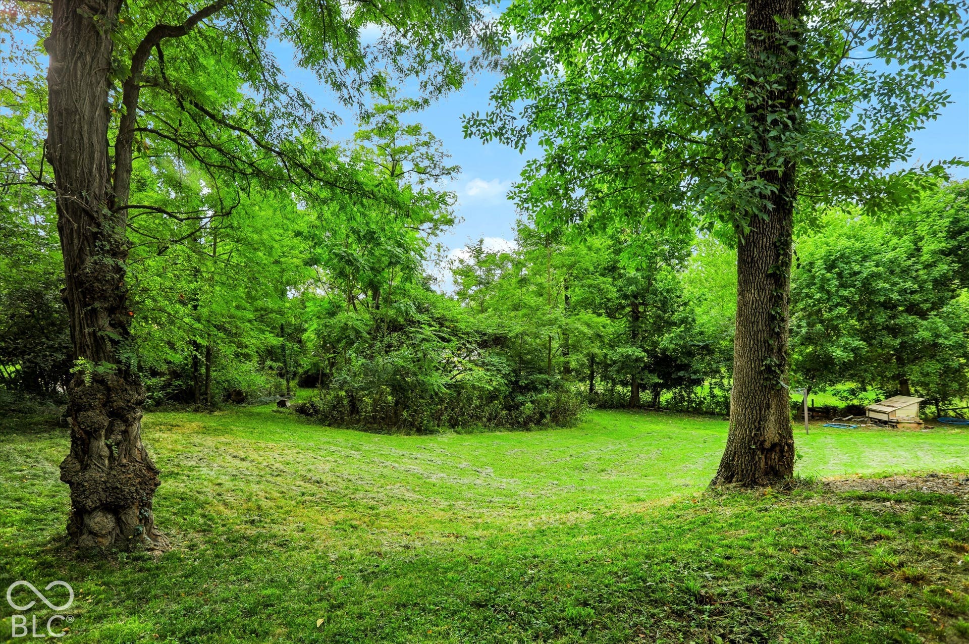 Expansive green lawn with mature trees and dense perimeter foliage