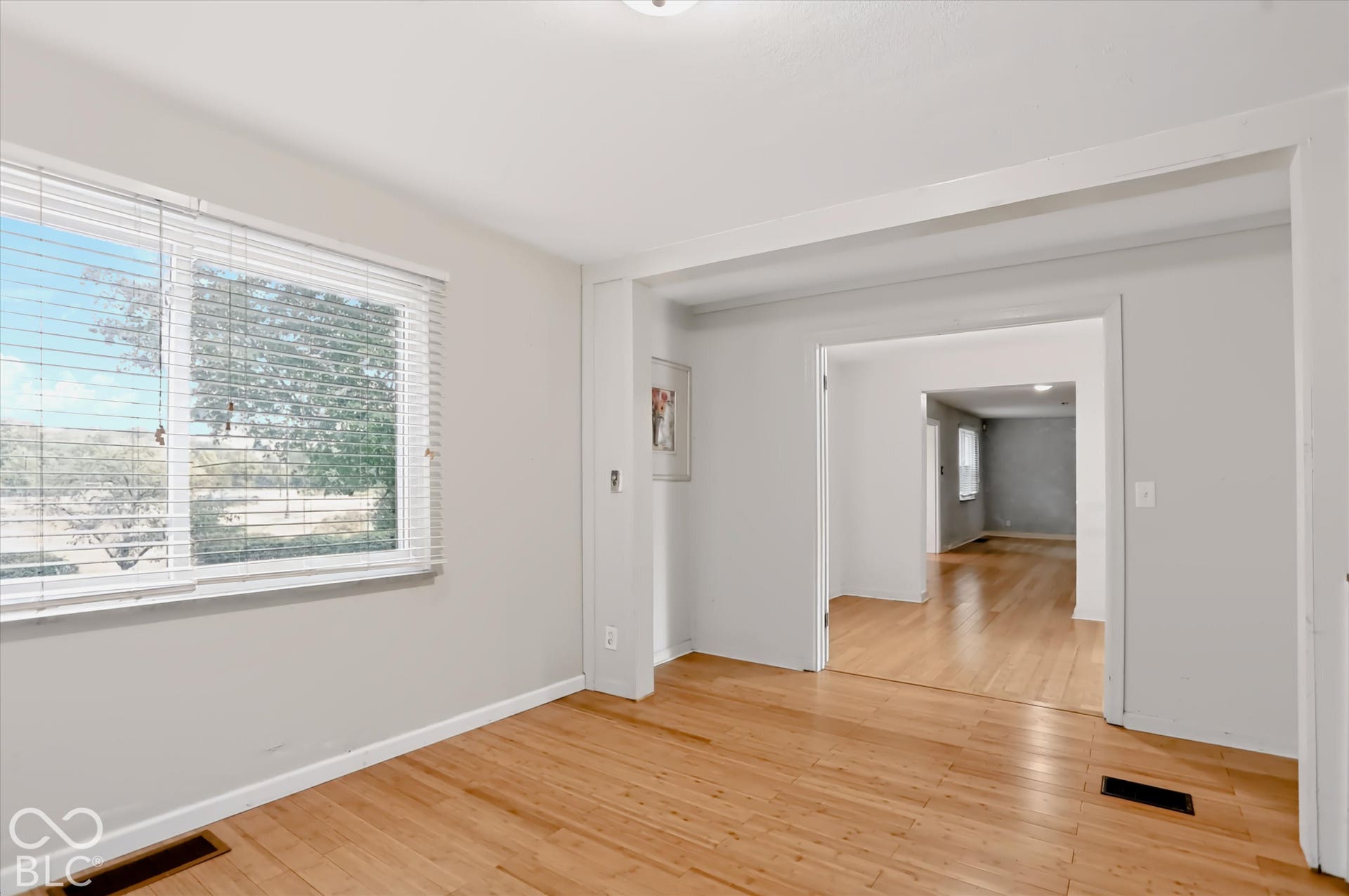 Wood-finish flooring, white trim, and light gray wall paint