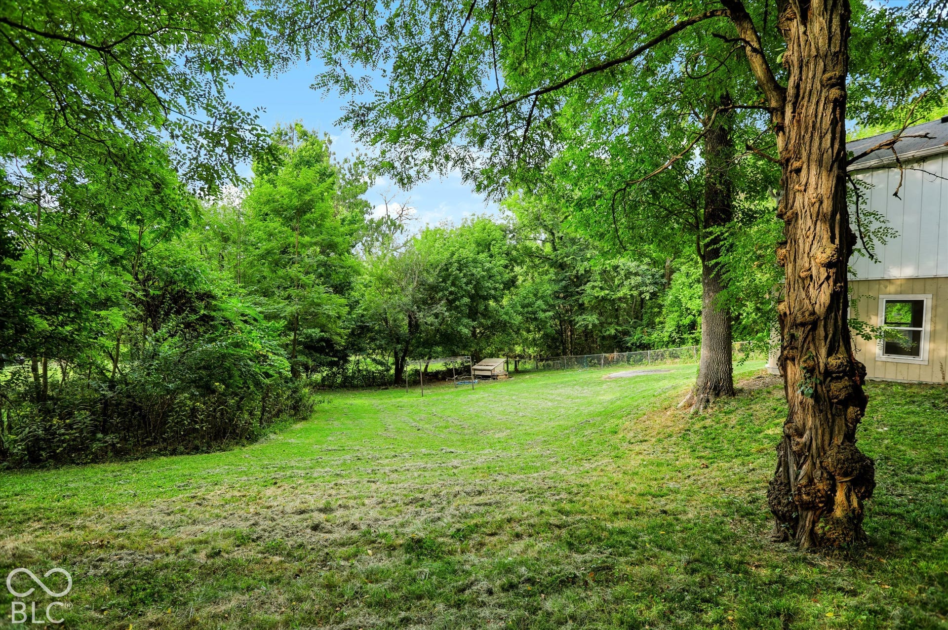 Expansive green lawn surrounded by mature trees
