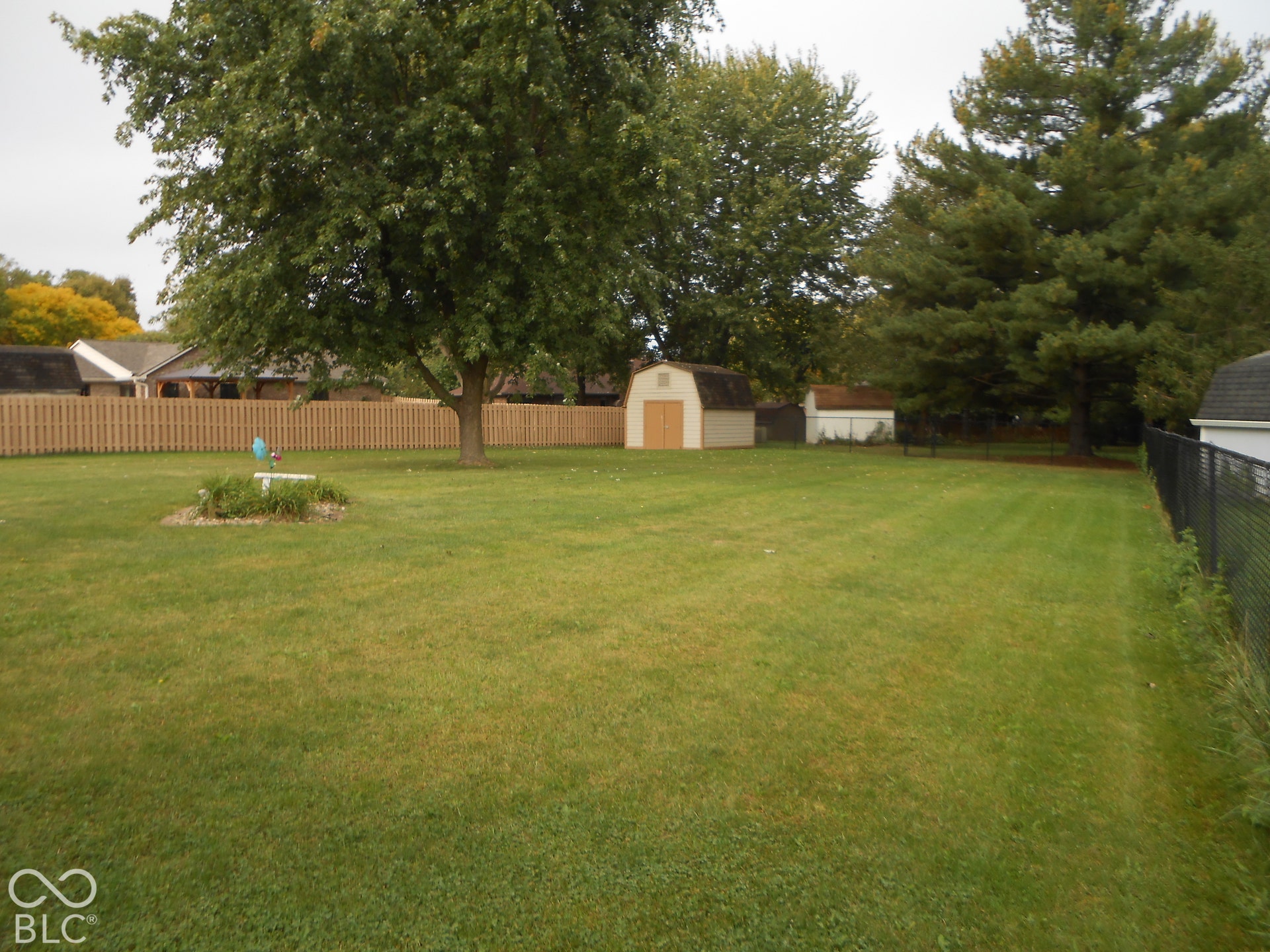 Expansive lawn with mature trees and a wood privacy fence