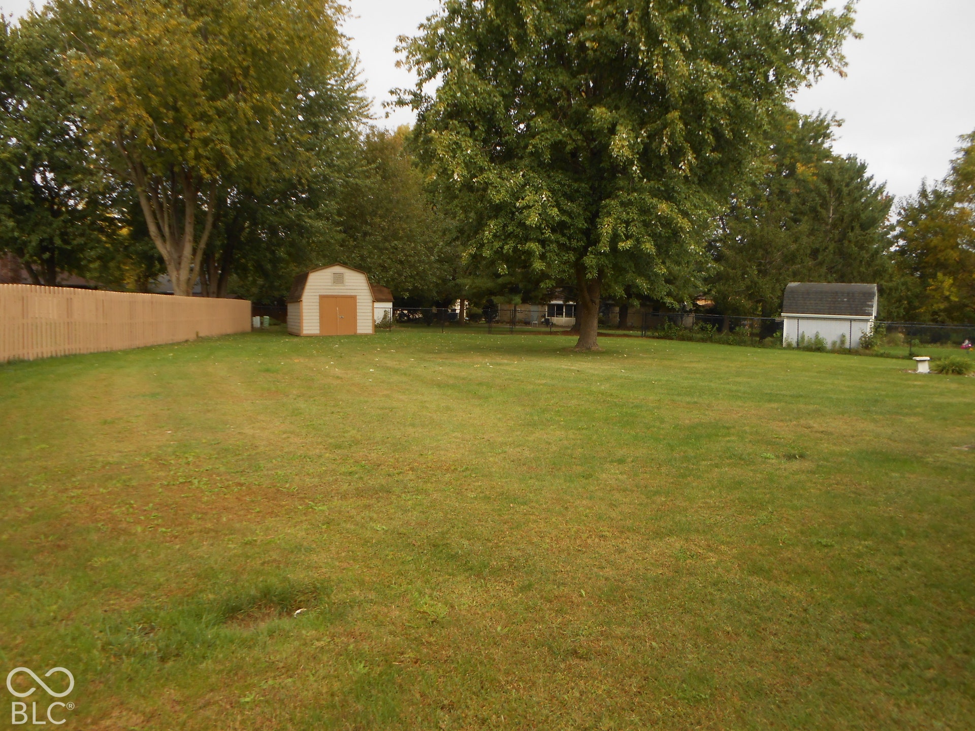 Expansive green lawn with mature trees, privacy fencing, and two storage sheds
