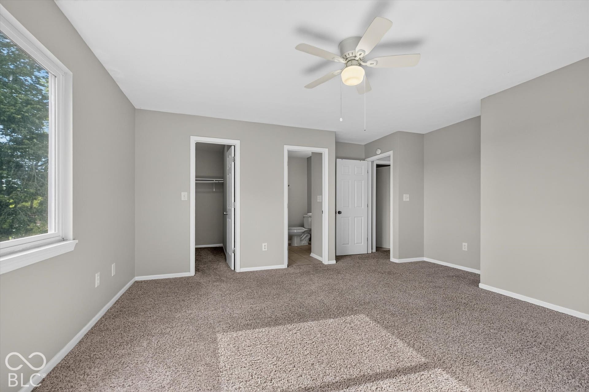 Spacious primary bedroom with carpet, ceiling fan, and abundant natural light