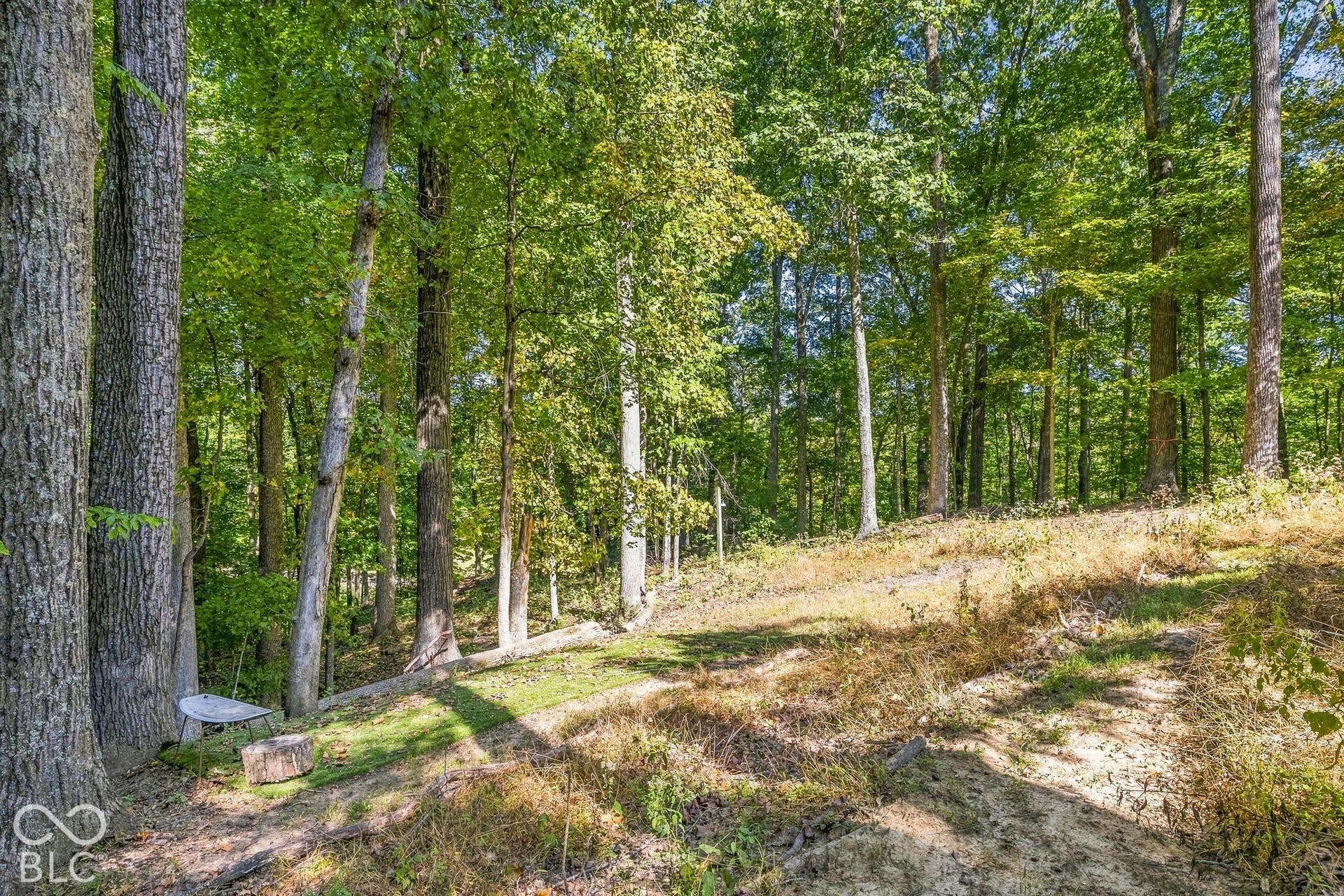 4078 E Rembrandt Drive, Martinsville, IN 46151