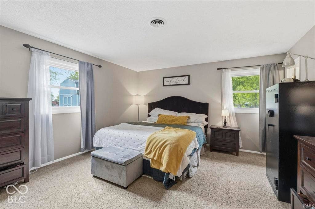 Carpeted flooring, two windows, and light gray wall paint