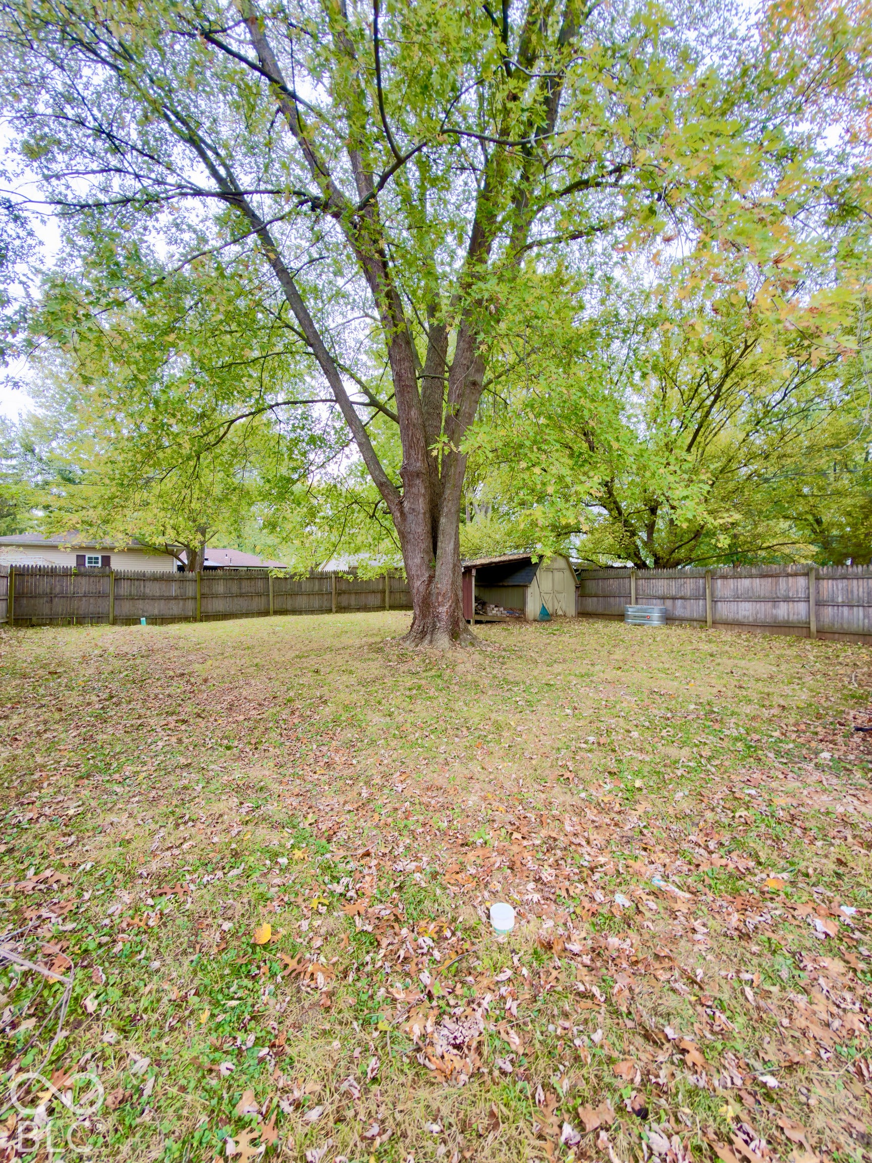 Expansive backyard featuring a mature canopy tree, wood-paneled privacy fencing, and a built-in storage structure
