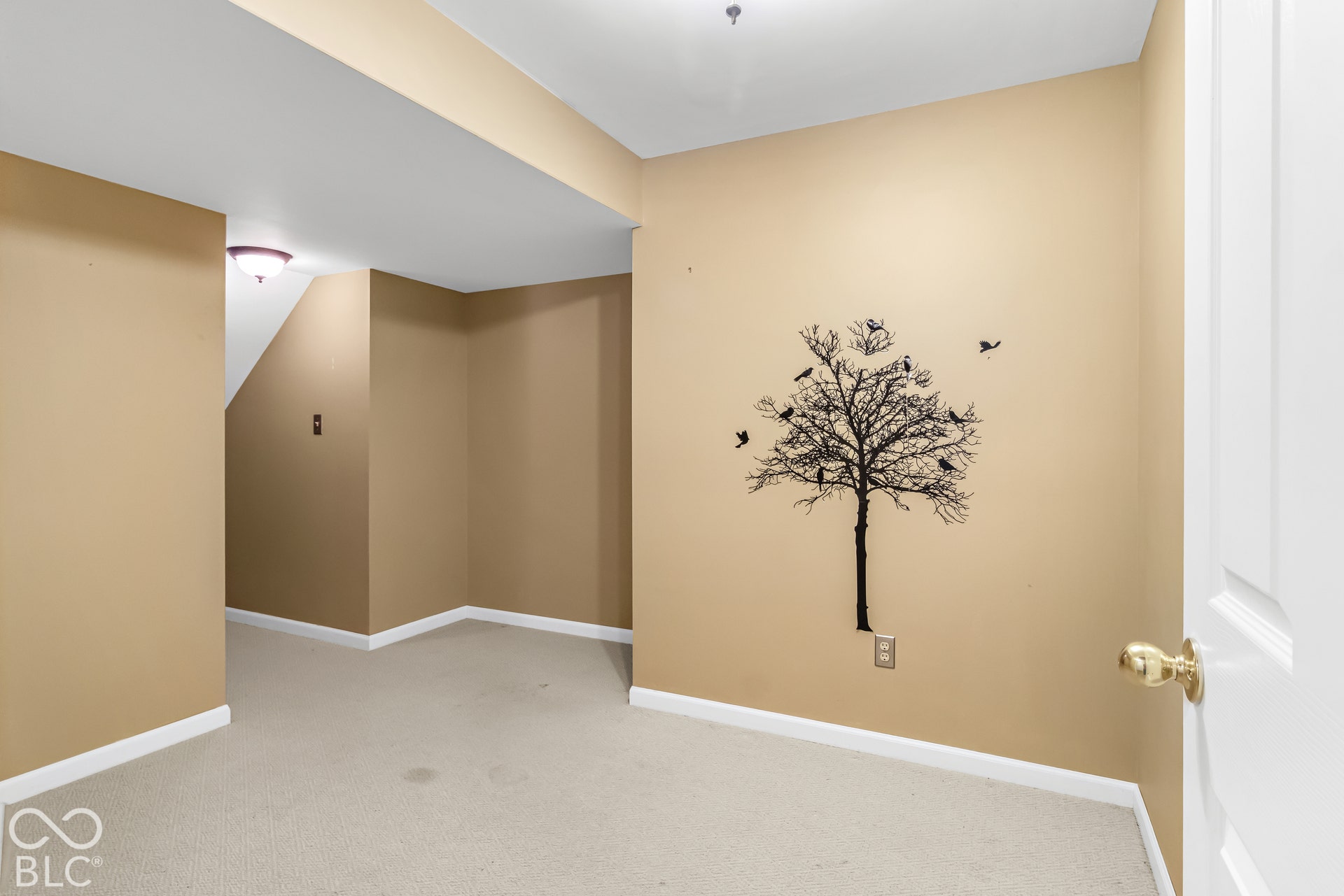 6763 Woodcliff Circle, Zionsville, IN 46077 Flex room Basement
