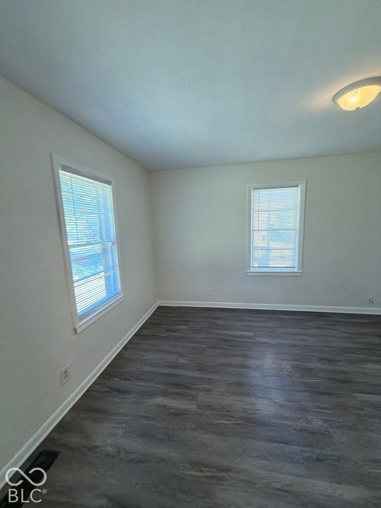 Wood-finish flooring, two windows with blinds, white trim, and a ceiling-mounted light fixture