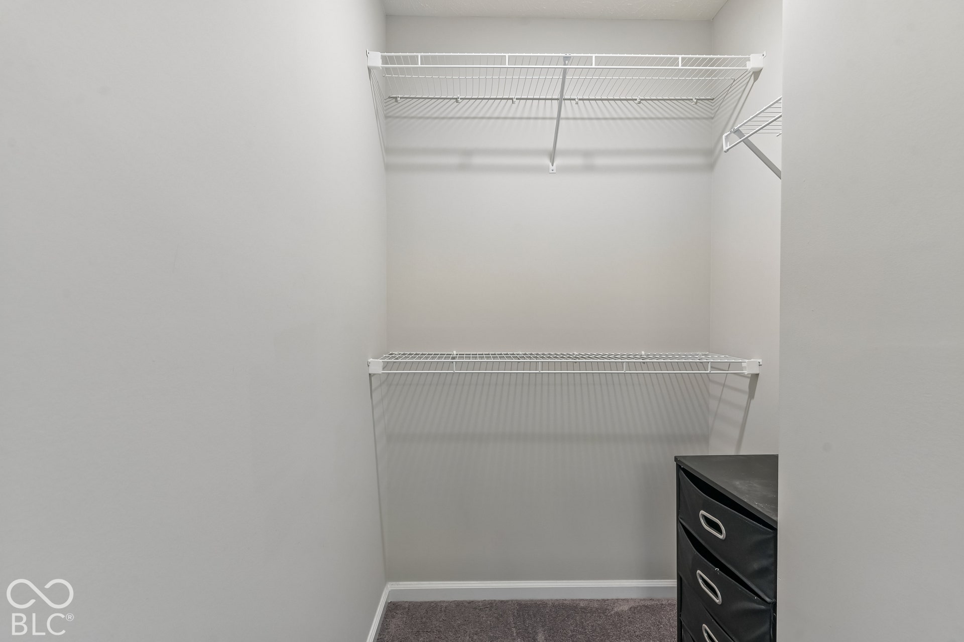 Storage area featuring dual-tier white wire shelving and neutral wall-to-wall carpeting