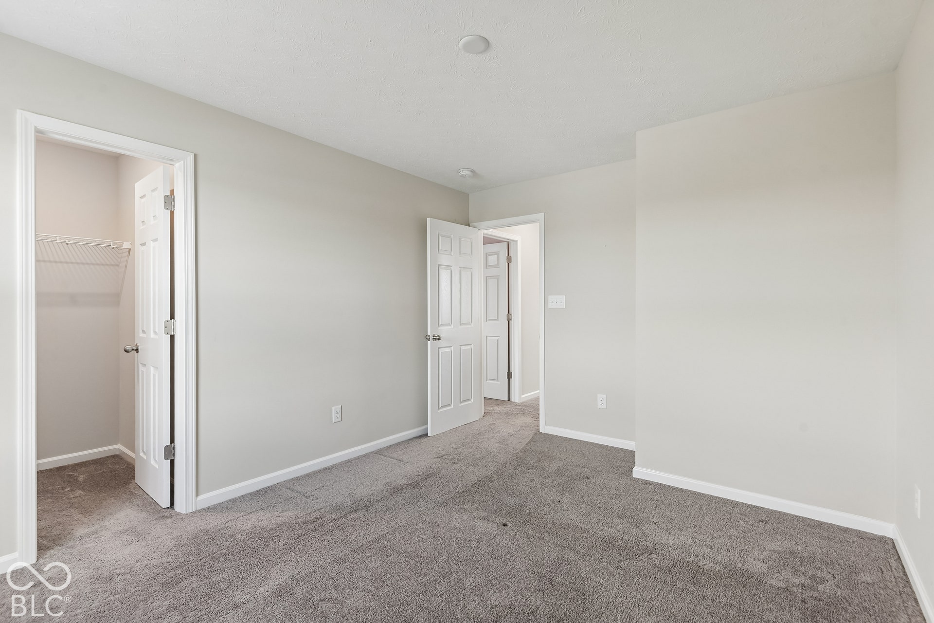 Neutral-toned interior featuring wall-to-wall carpeting, crisp white interior doors, and a walk-in closet with built-in wire shelving