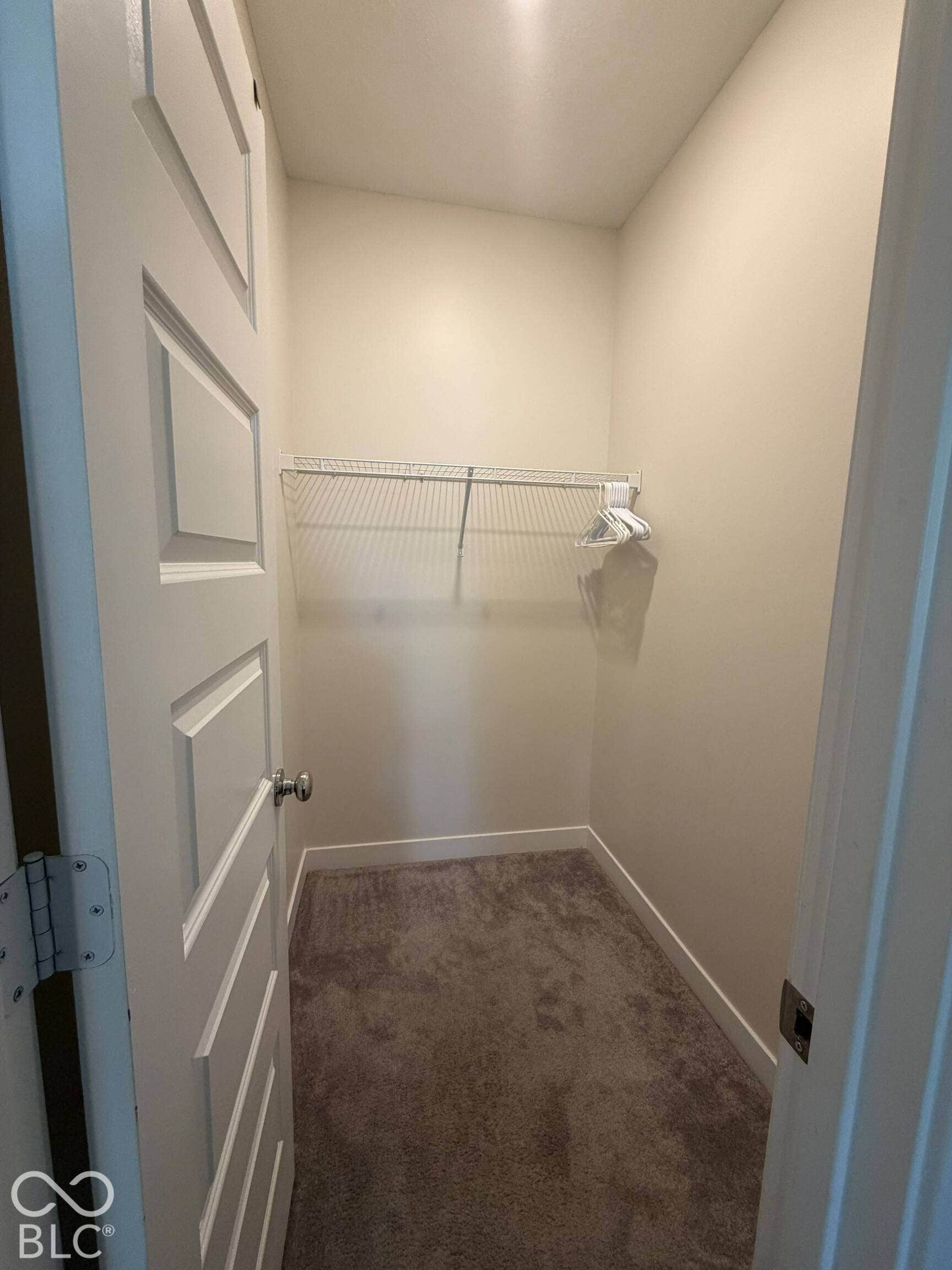 Walk-in closet featuring wire shelving, neutral carpeting, and a paneled door