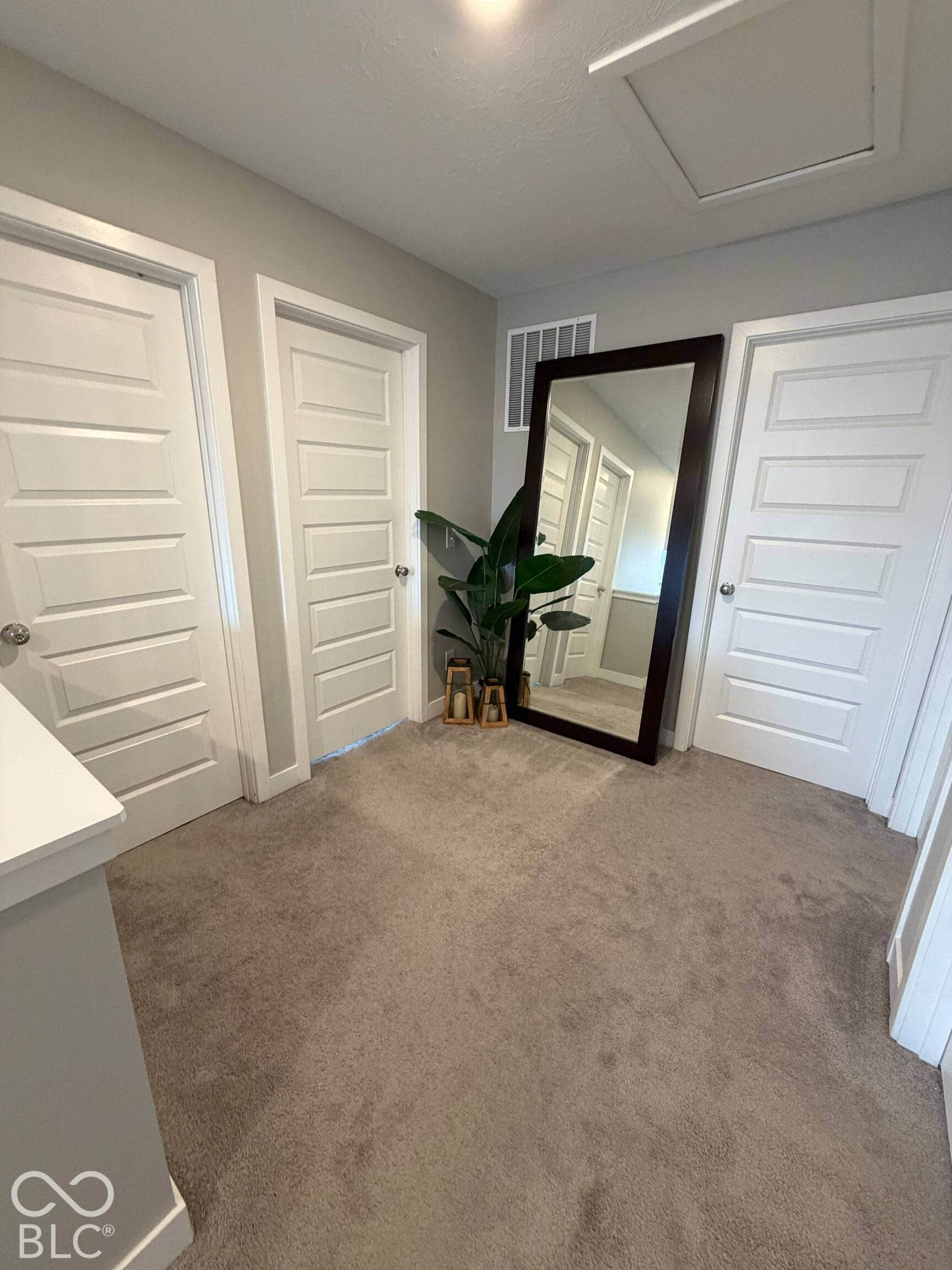 Light gray wall paint, light-colored carpeting, white paneled doors, and a ceiling-mounted light fixture