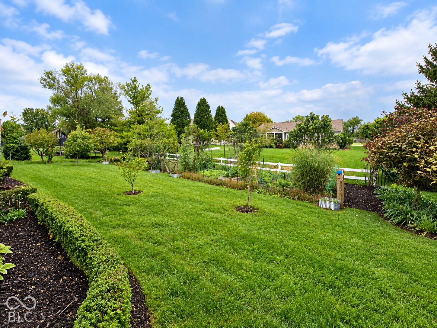 Expansive green lawn bordered by manicured hedging and mature trees