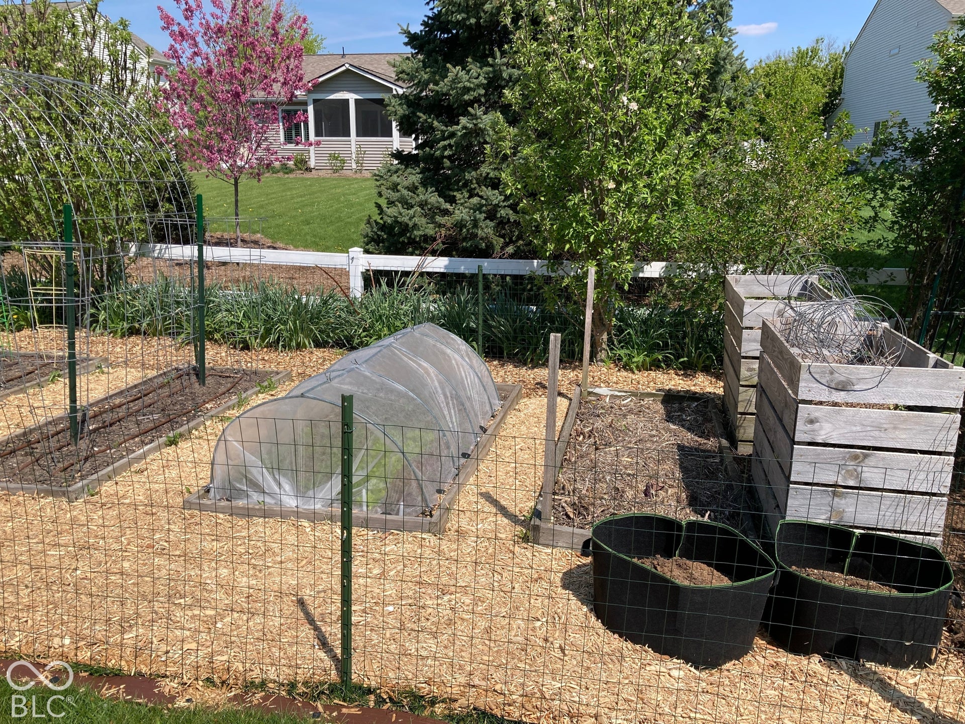 Garden area featuring raised wooden planting beds, arched metal trellises, protective plant covers, and timber compost bins enclosed by wire fencing with wood-chip ground cover