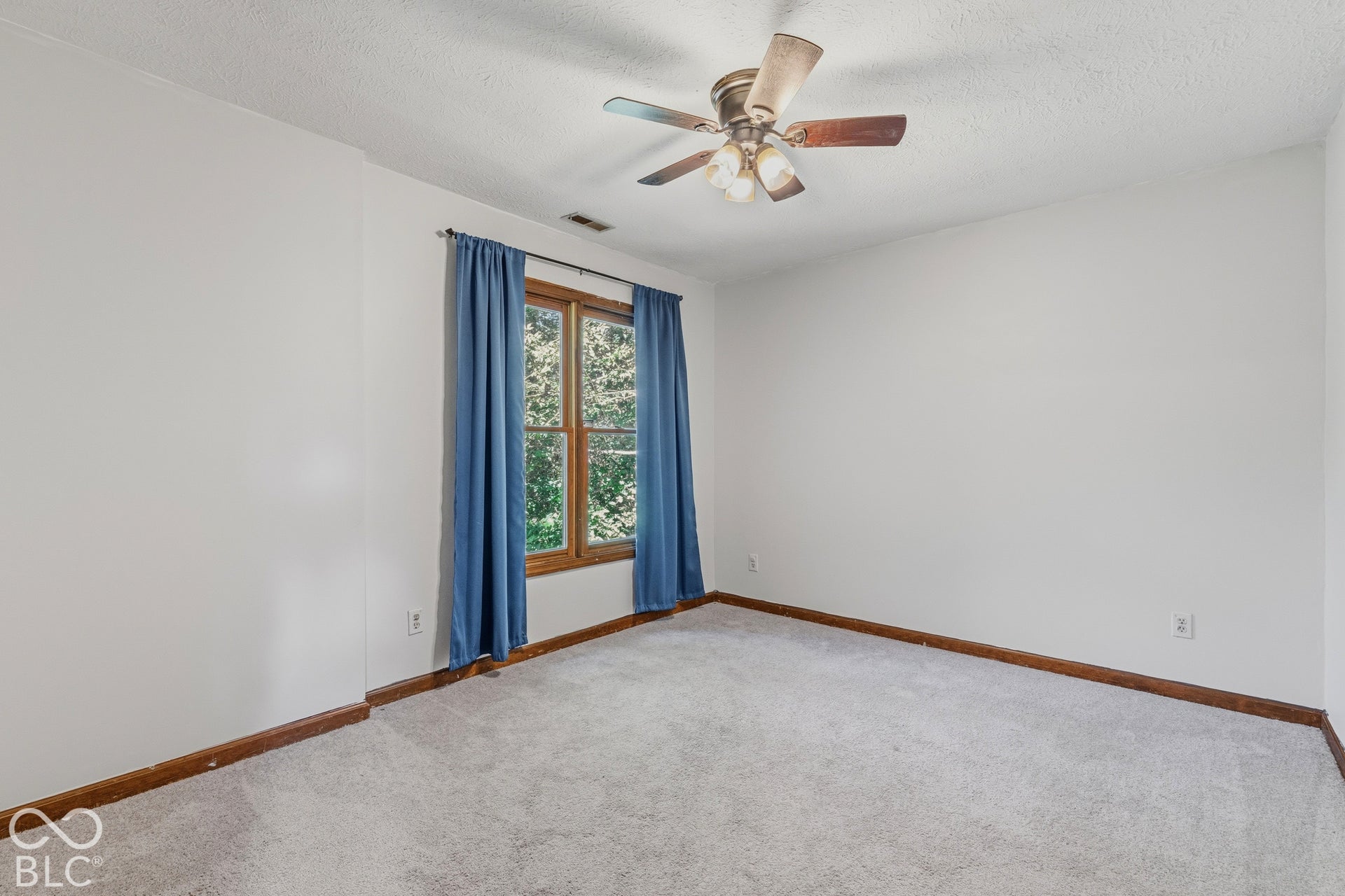 5542 Painted Maple Court, Indianapolis, IN 46254